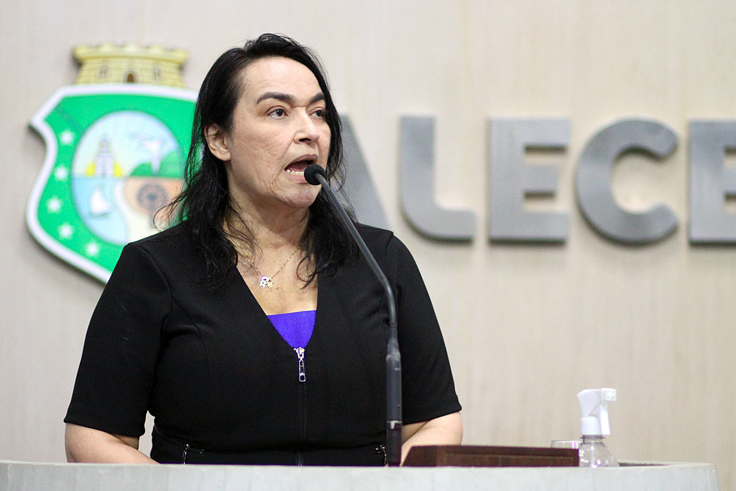 Deputada Dra.Silvana (PL)