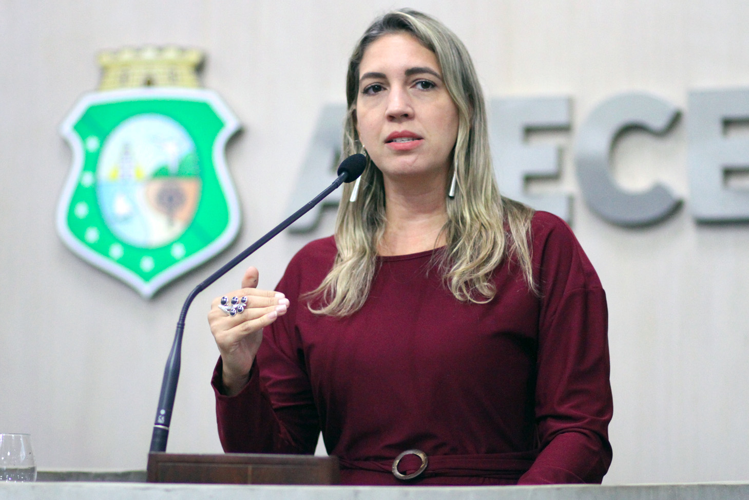 Deputada Larissa Gaspar (PT)