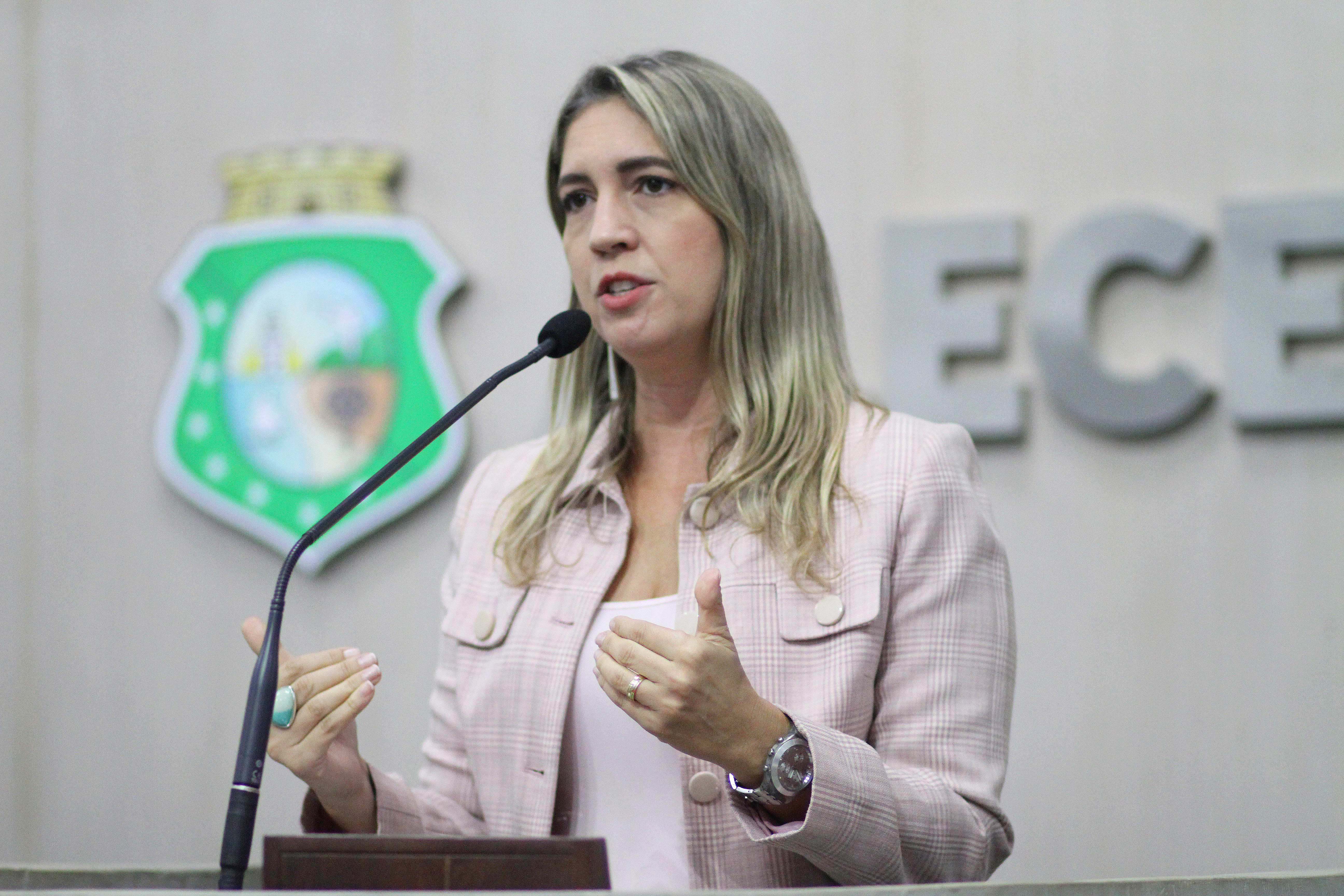 Deputada Larissa Gaspar (PT)