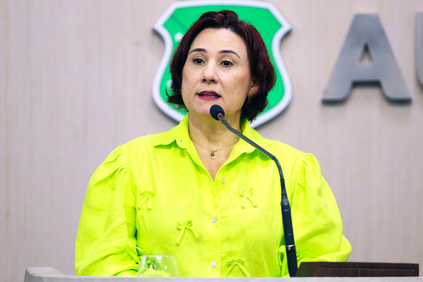 Deputada Emília Pessoa (PSDB)