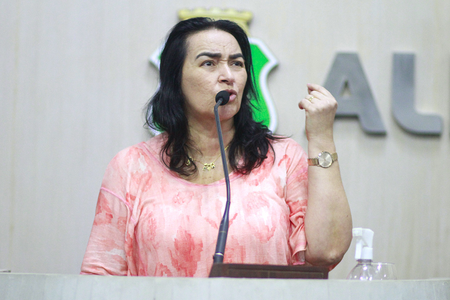 Deputada Dra. Silvana (PL)