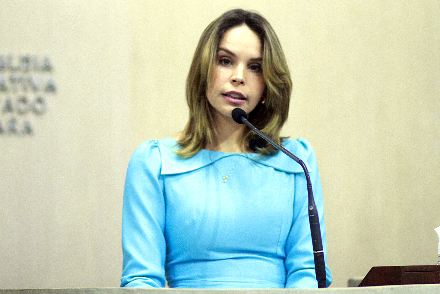 Deputada Gabriella Aguiar (PSD)