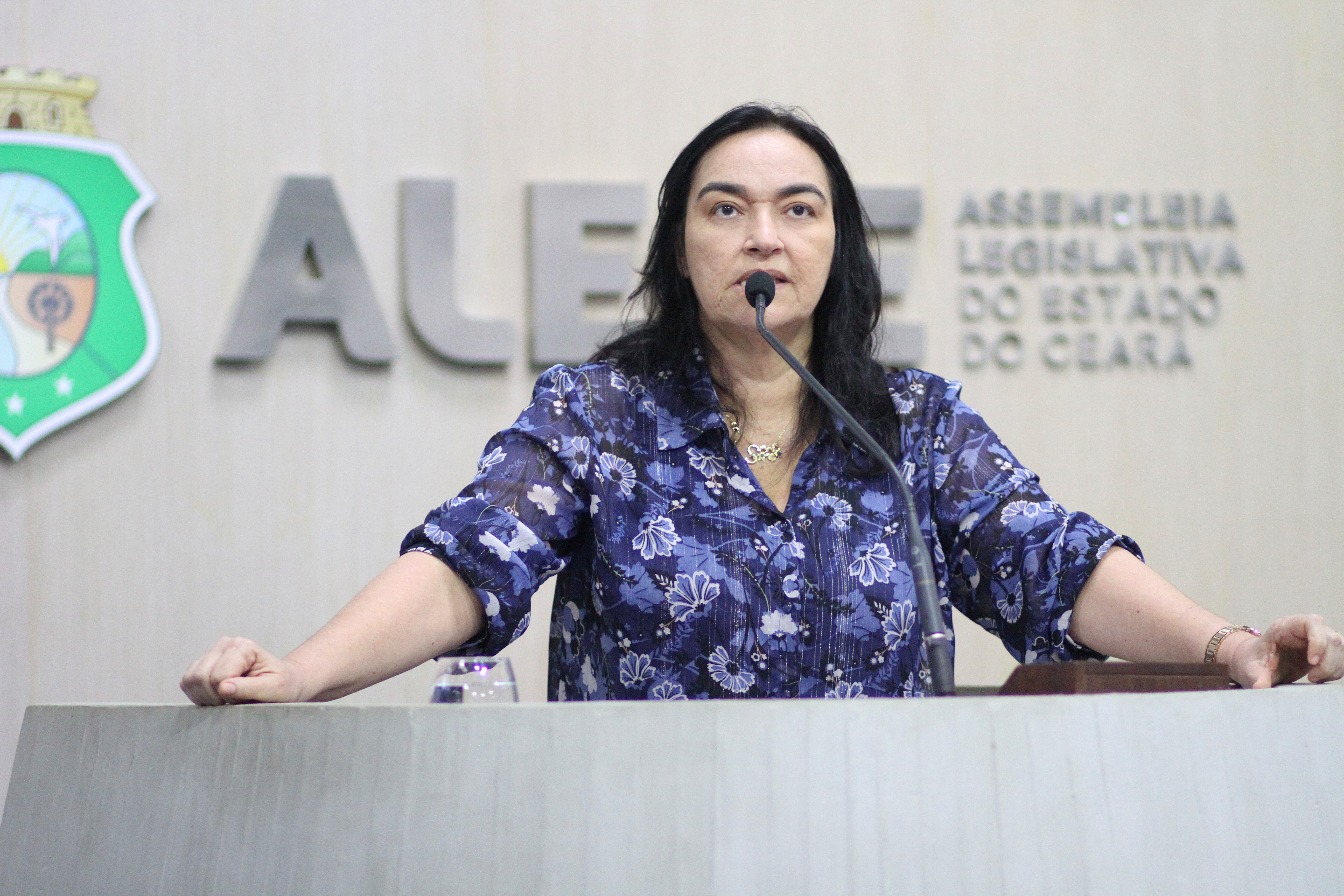 Deputada Dra. Silvana (PL)