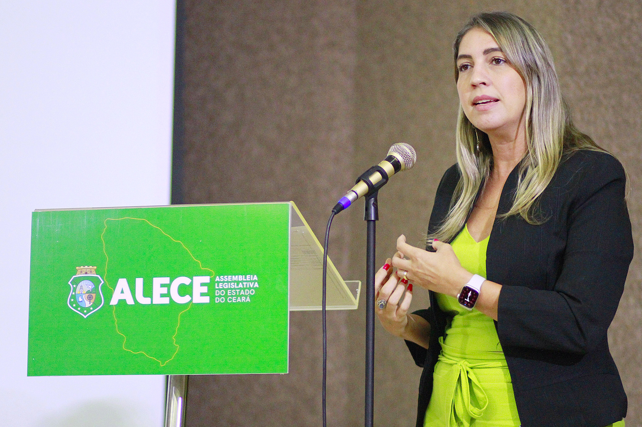 Deputado Larissa Gaspar (PT)