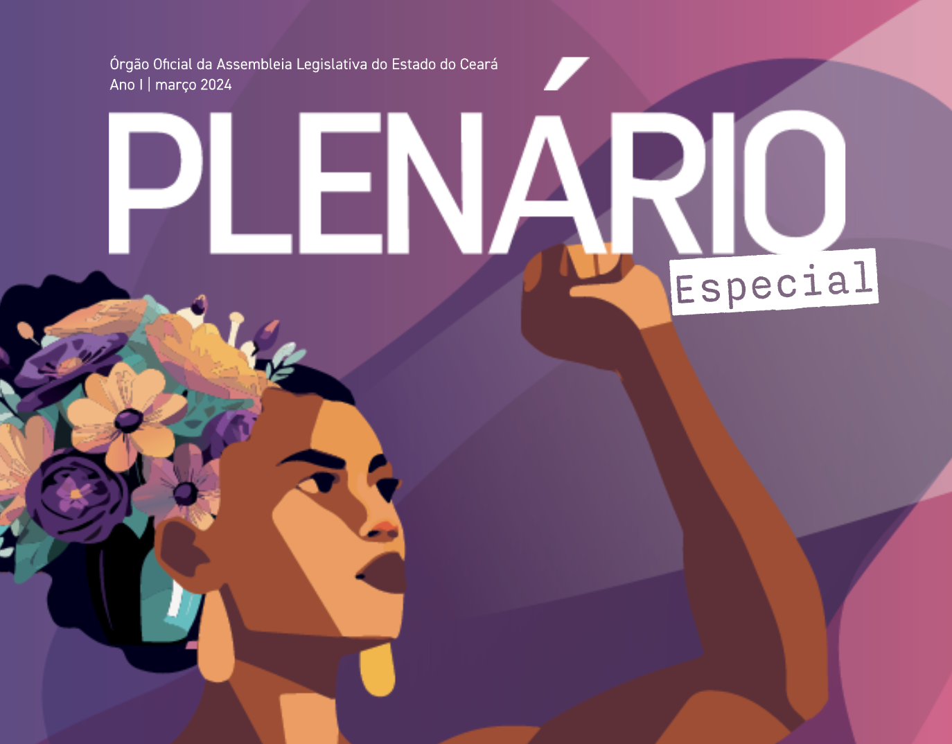 Plenário Especial - Procuradoria Especial da Mulher