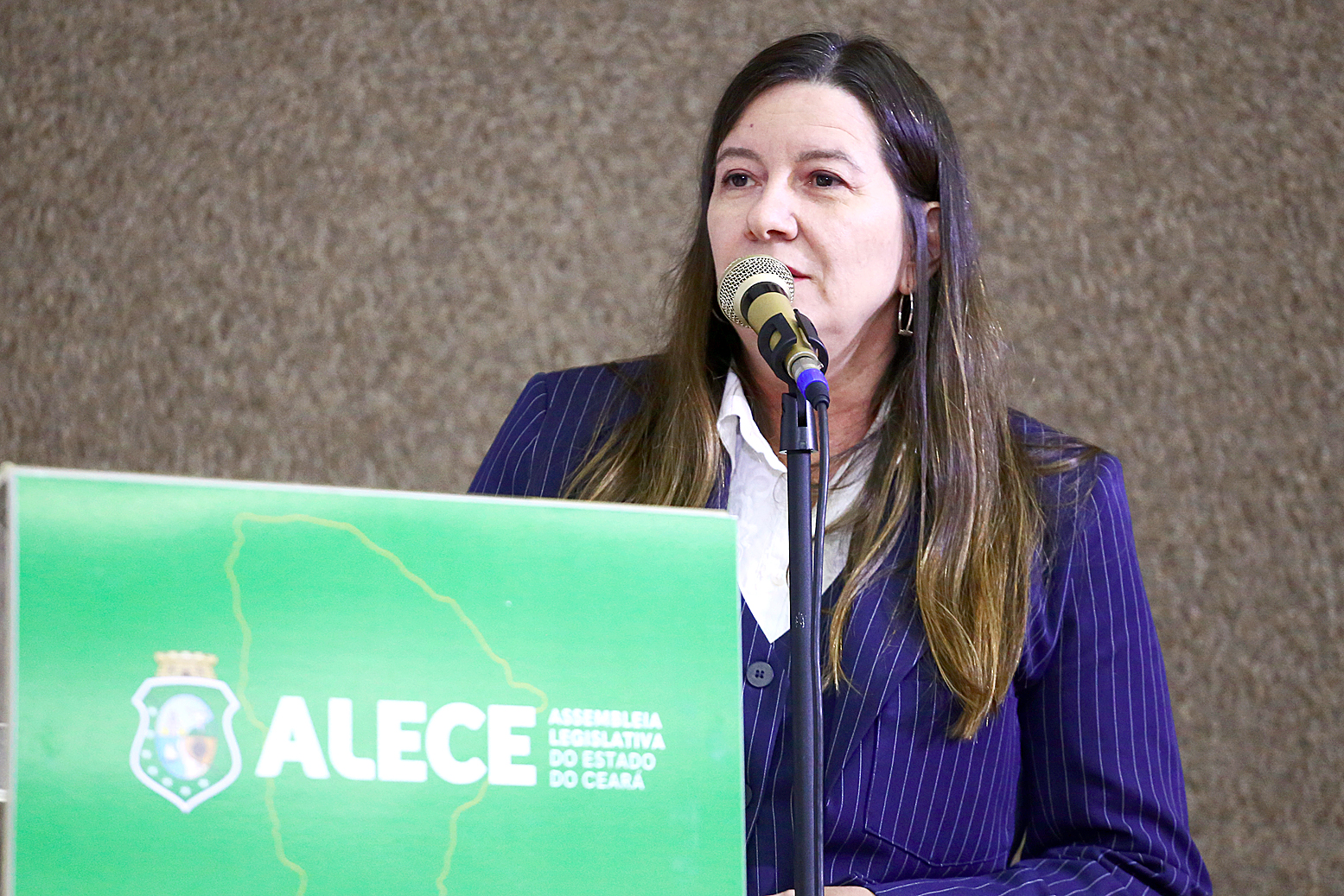 Deputada Lia Gomes (PDT)