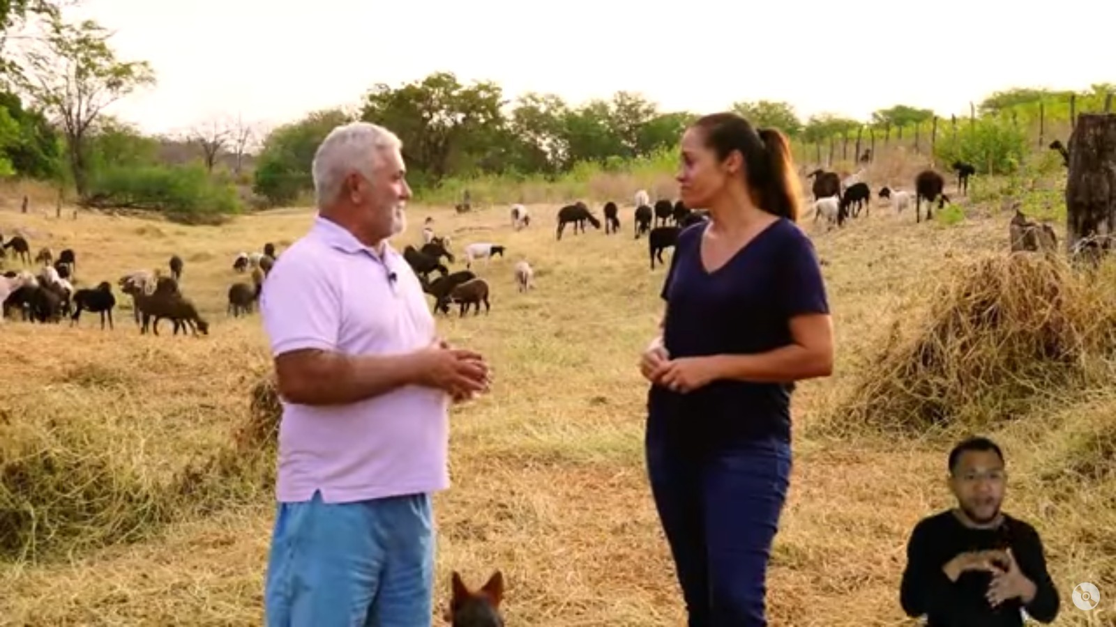 Reportagem “Cabras e Carneiros – A moeda que movimenta Tauá” é finalista no prêmio - Foto: Divulgação/Alece TV