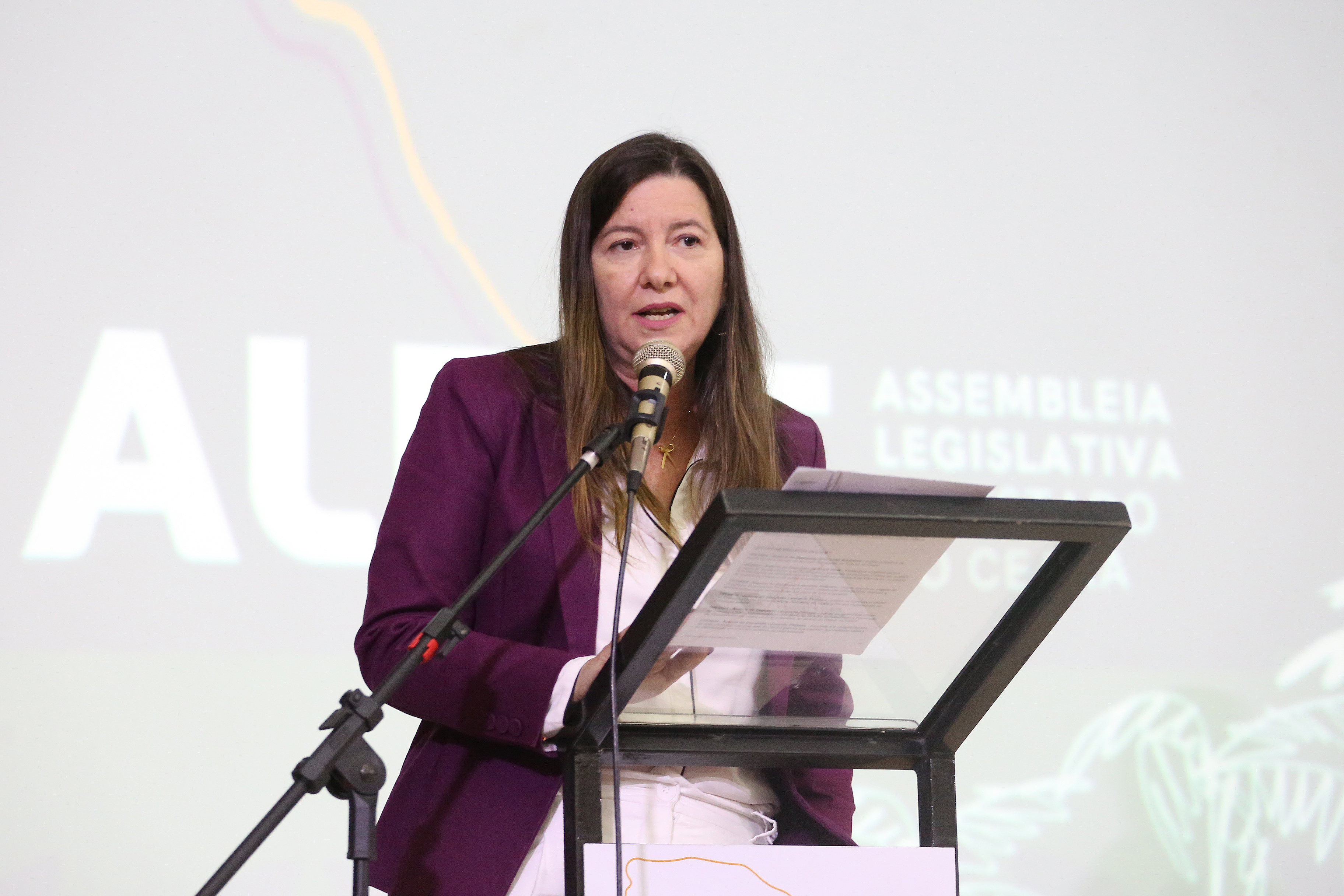 Dep. Lia Gomes ( PDT )