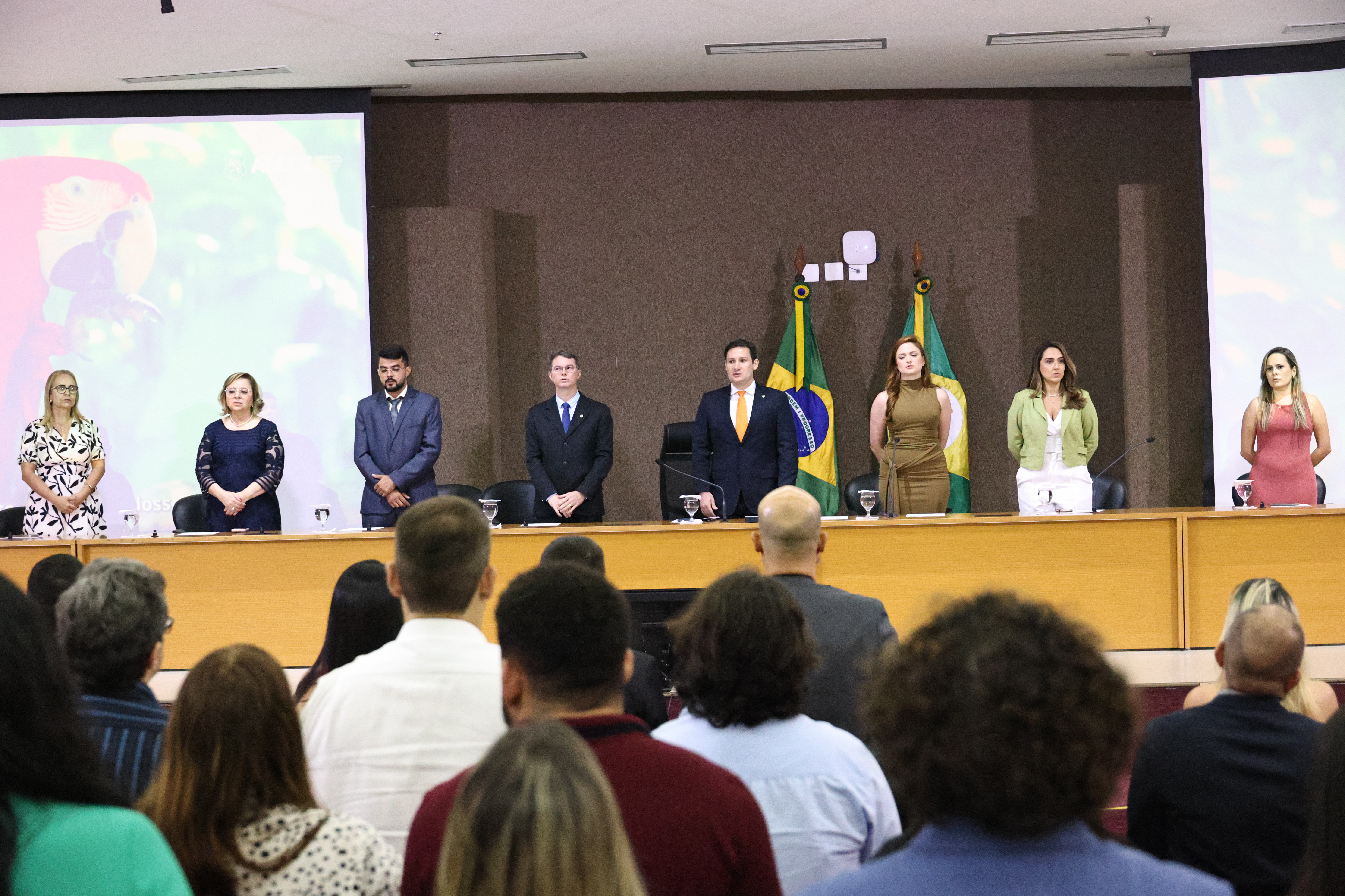 Importância do fisioterapeuta e terapeuta ocupacional é reconhecida em solenidade na Alece