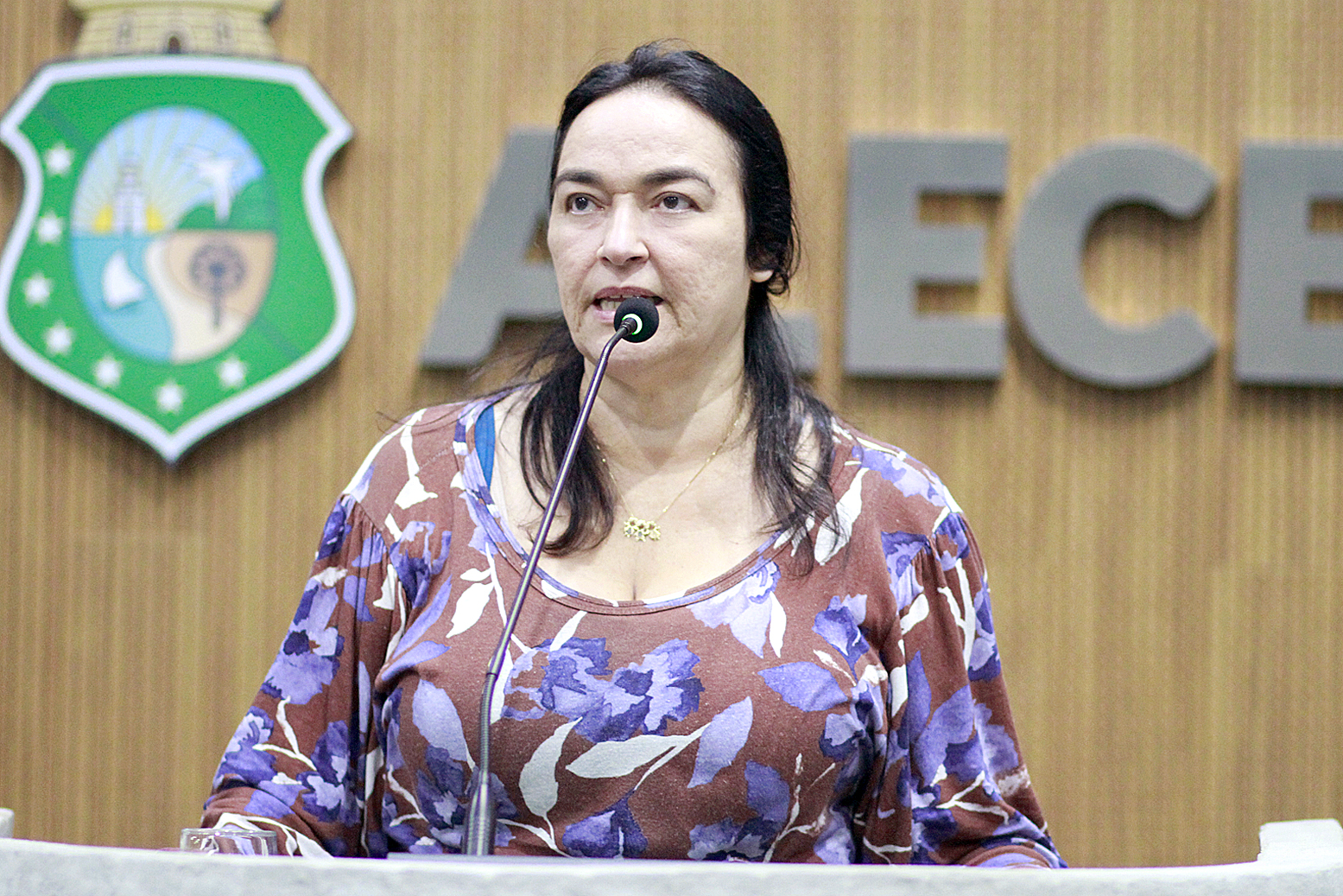 Deputada Dra. Silvana (PL)