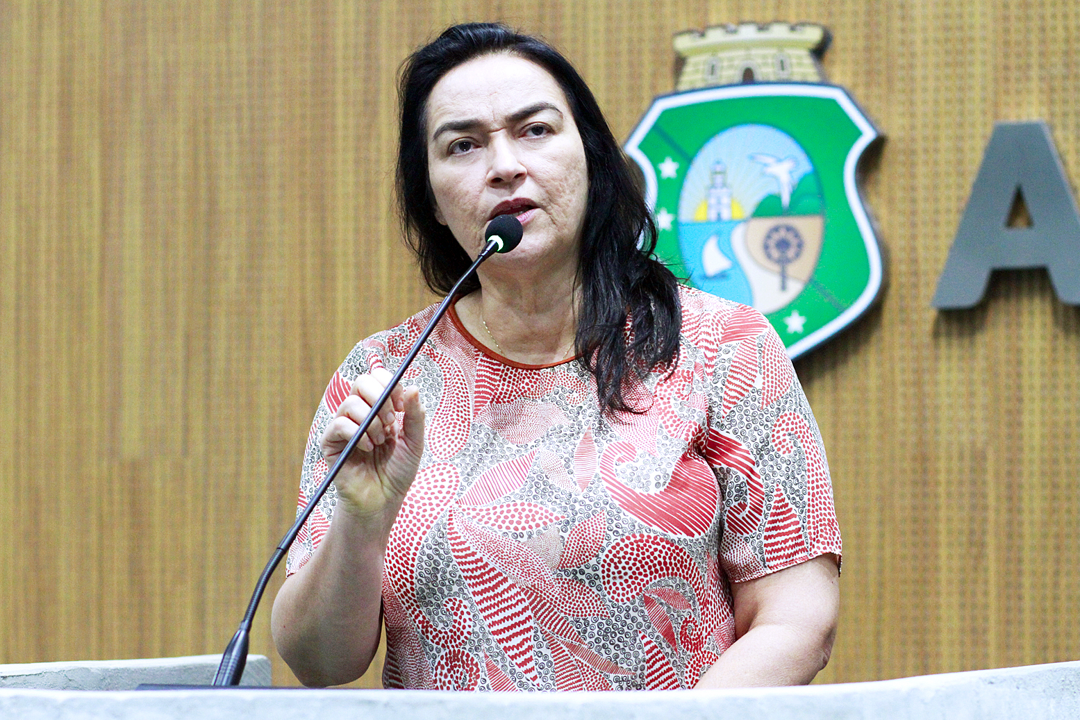 Deputada Dra. Silvana (PL)