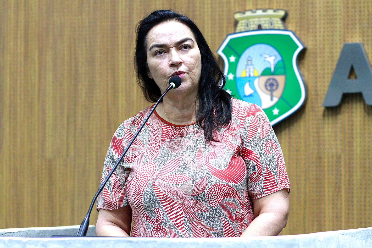 Deputada Dra. Silvana (PL)