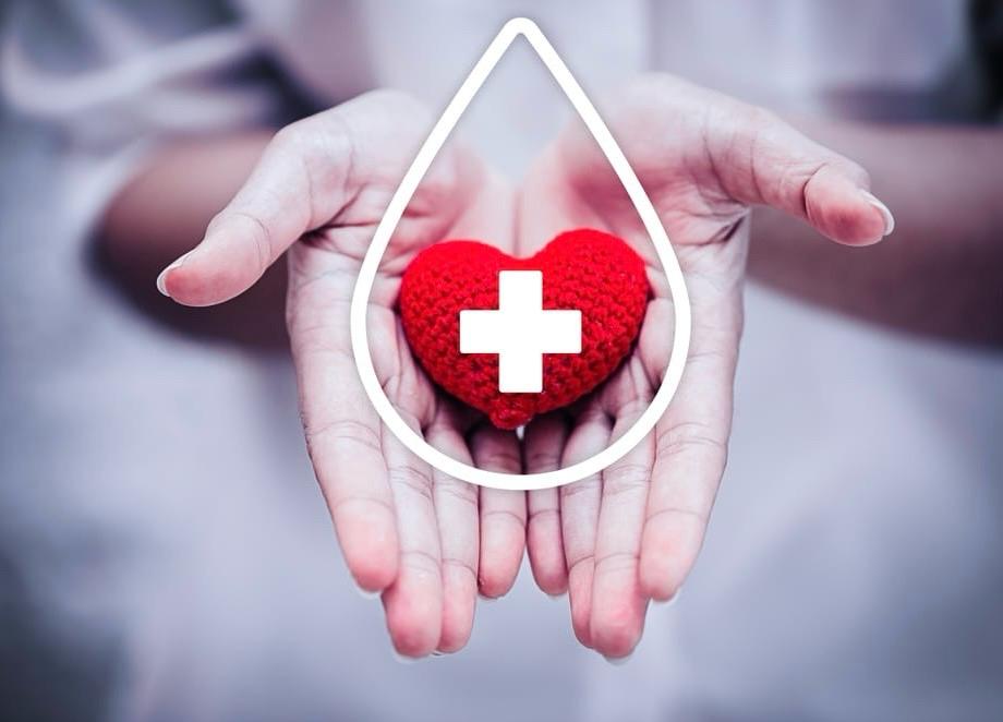 Alece aprova criação de campanhas direcionadas à prevenção de doenças