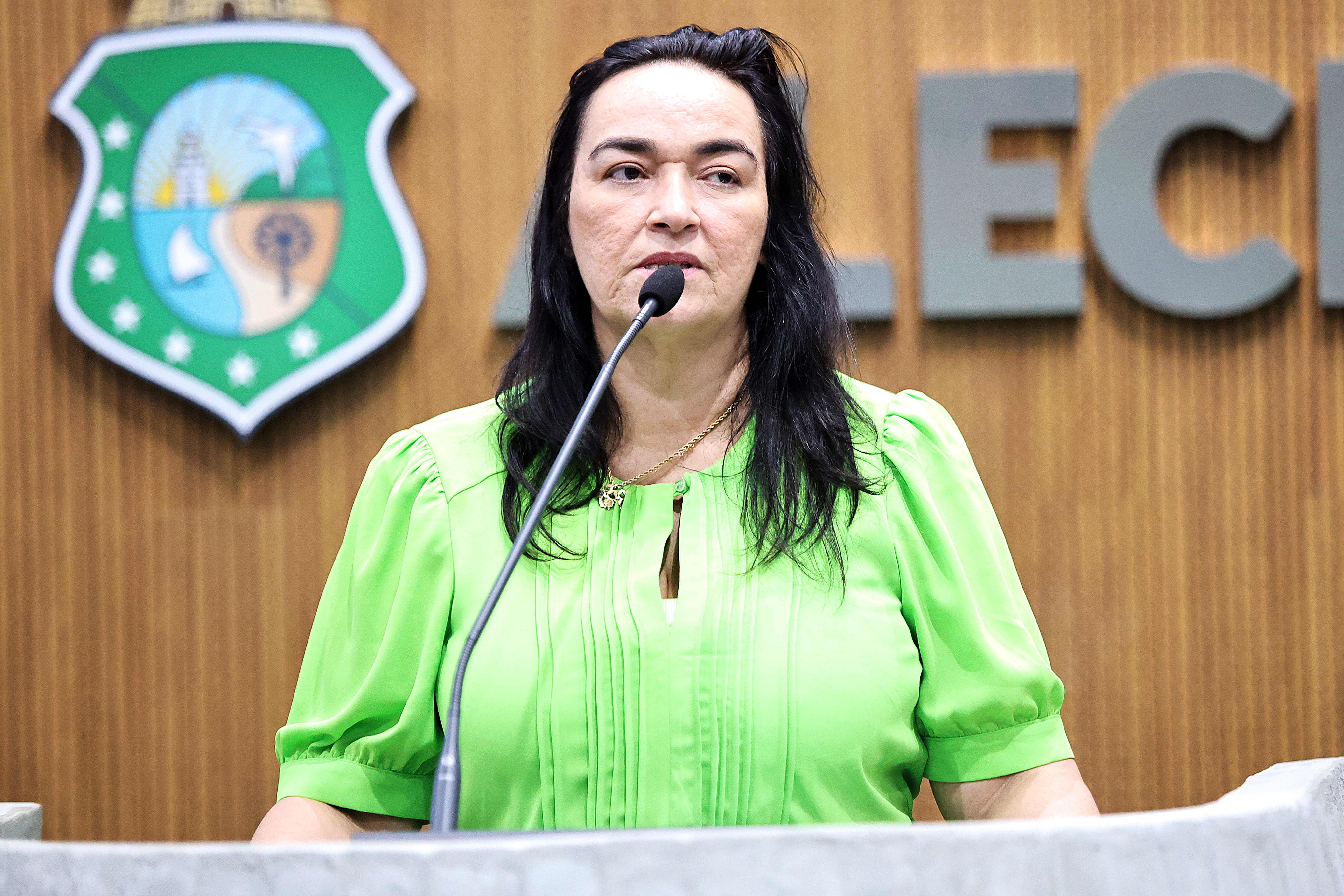 Deputada Dra. Silvana (PL)