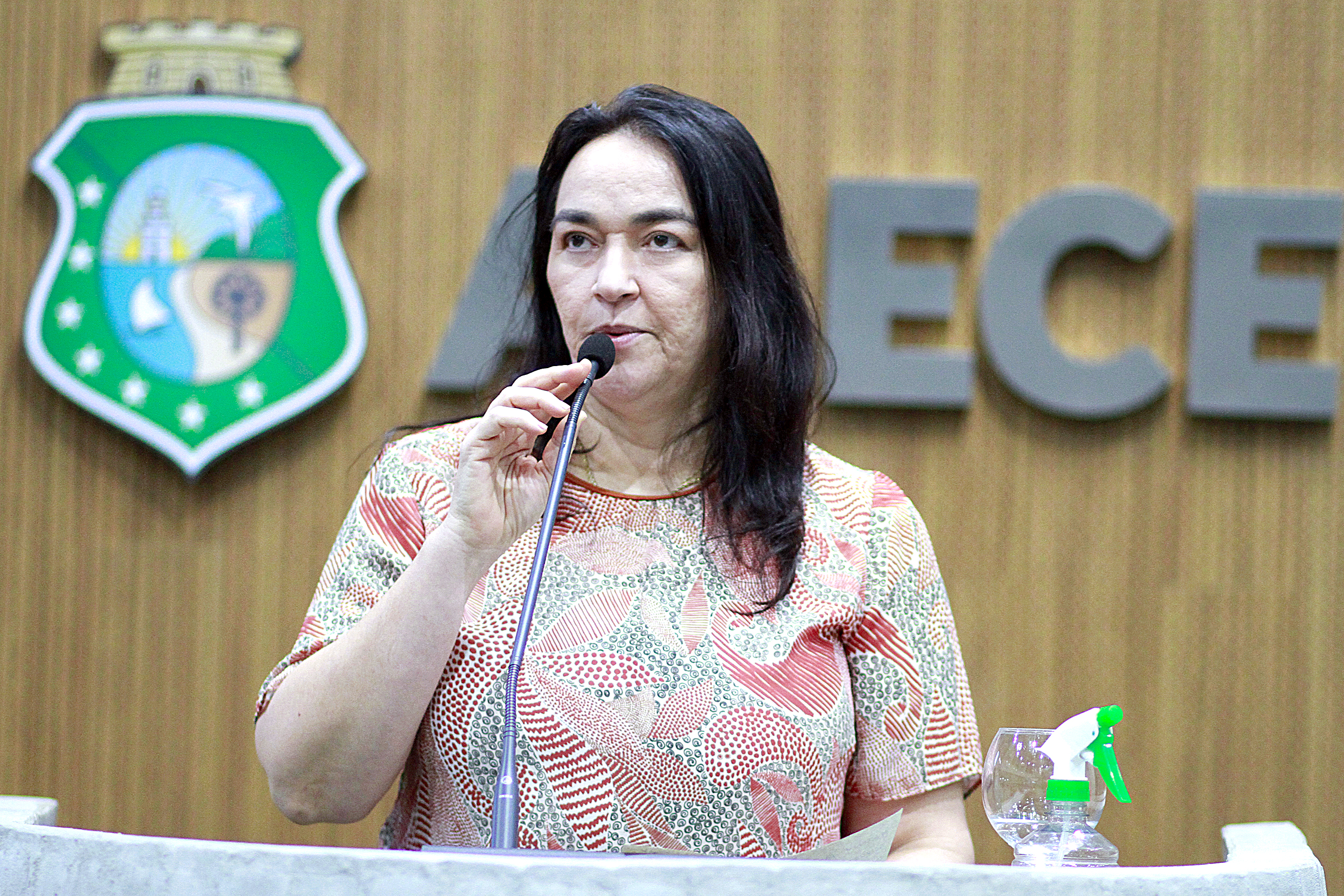 Deputada Dra. Silvana (PL)