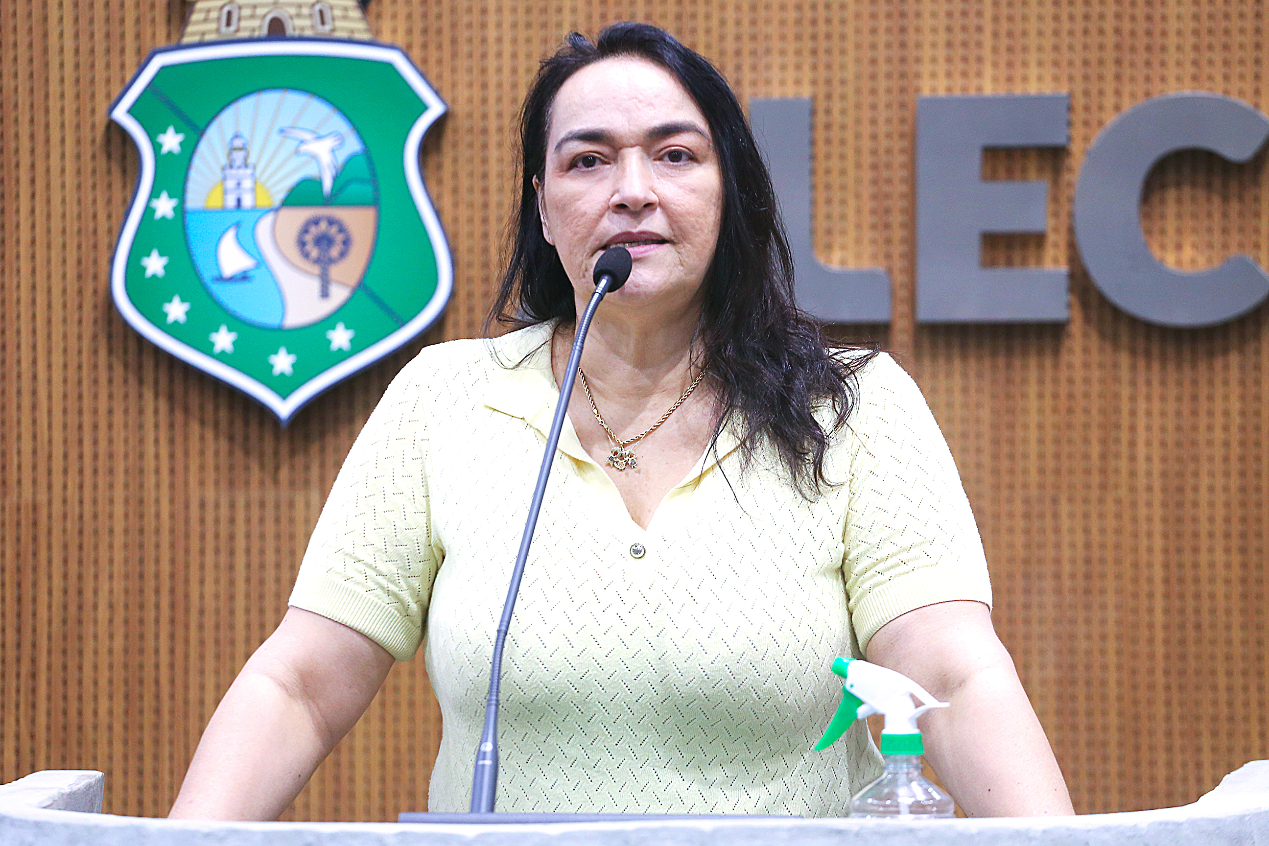 Deputada Dra. Silvana (PL)