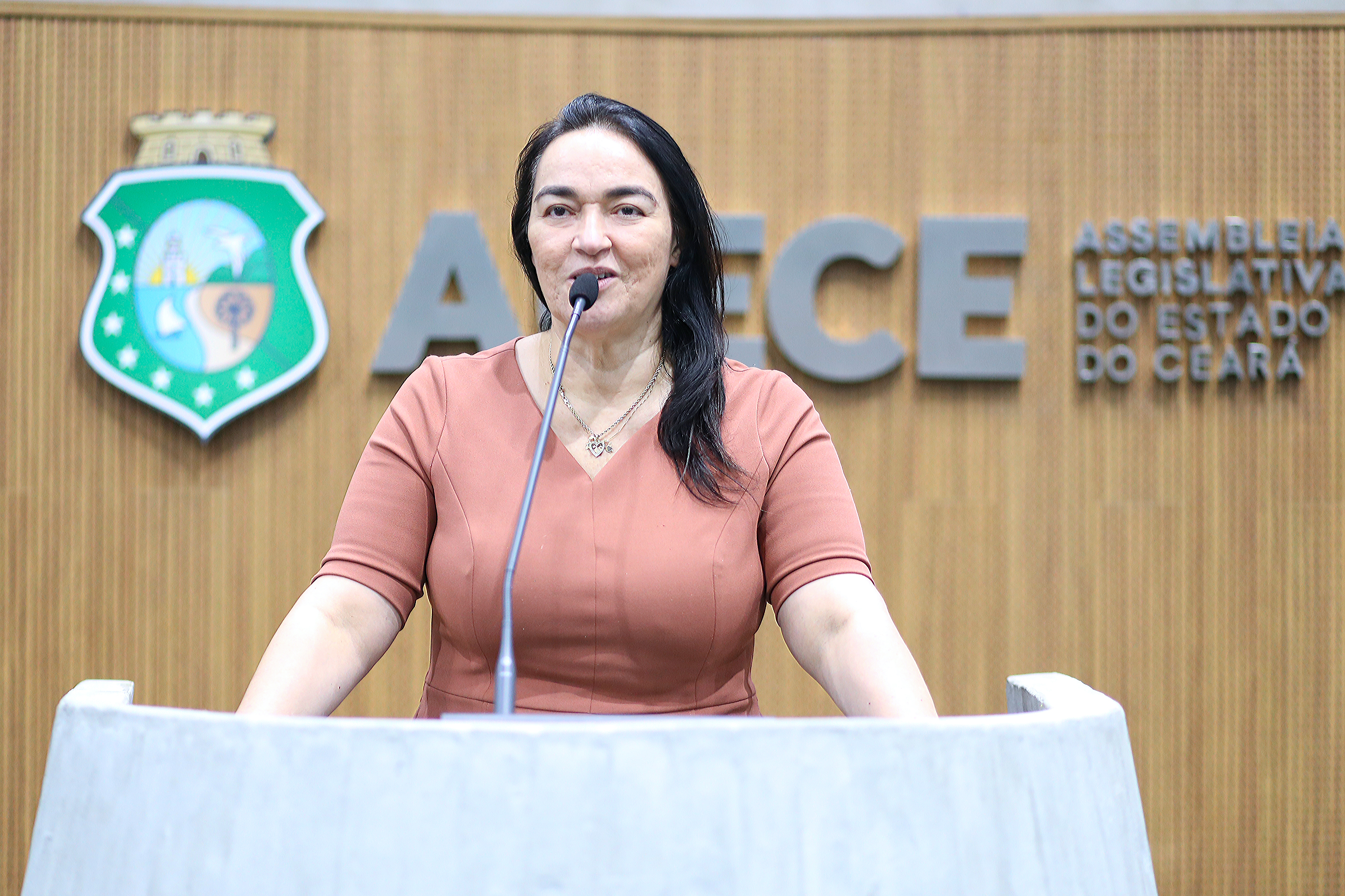 Deputada Dra. Silvana