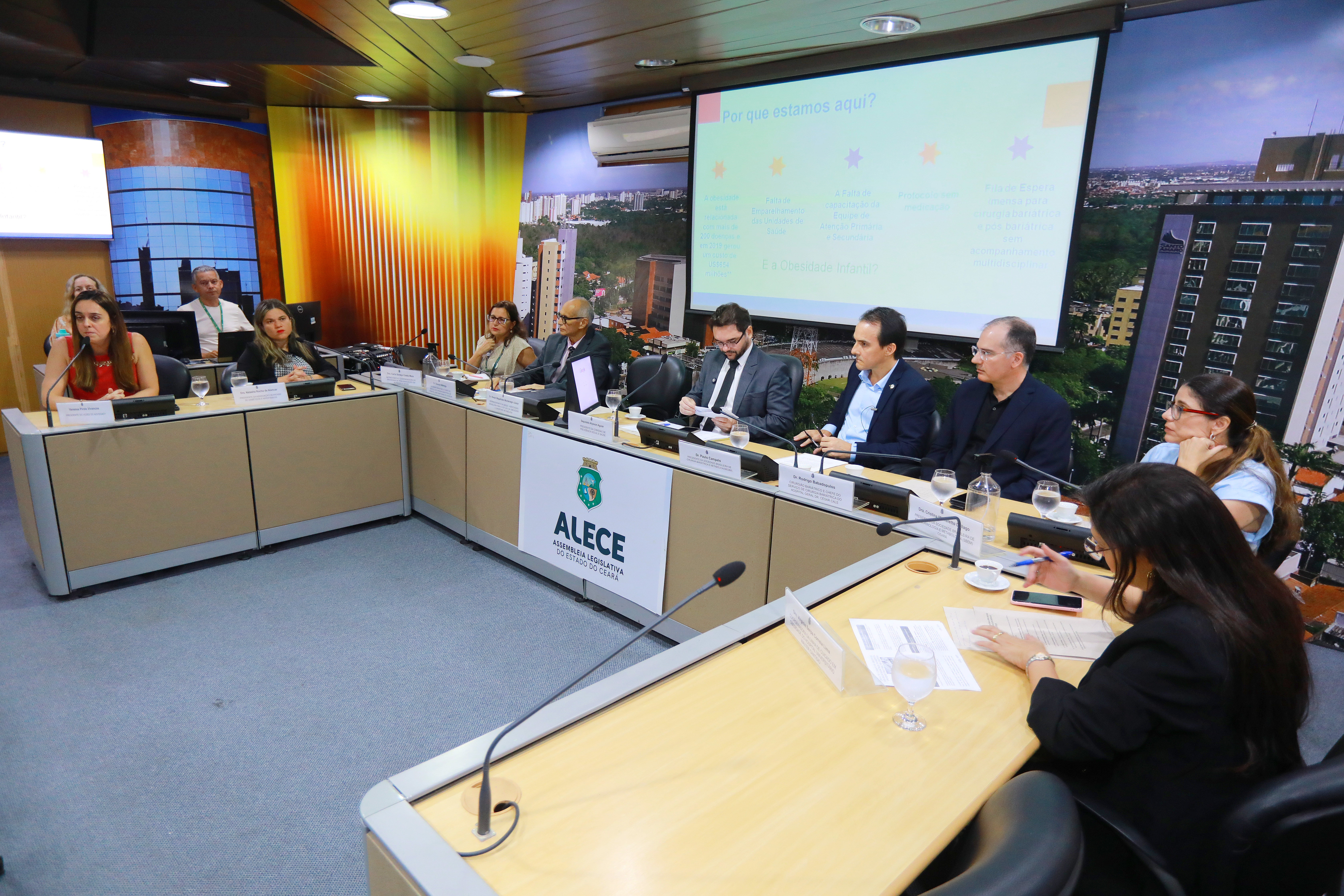 Audiência foi realizada no Complexo de Comissões Técnicas da Alece