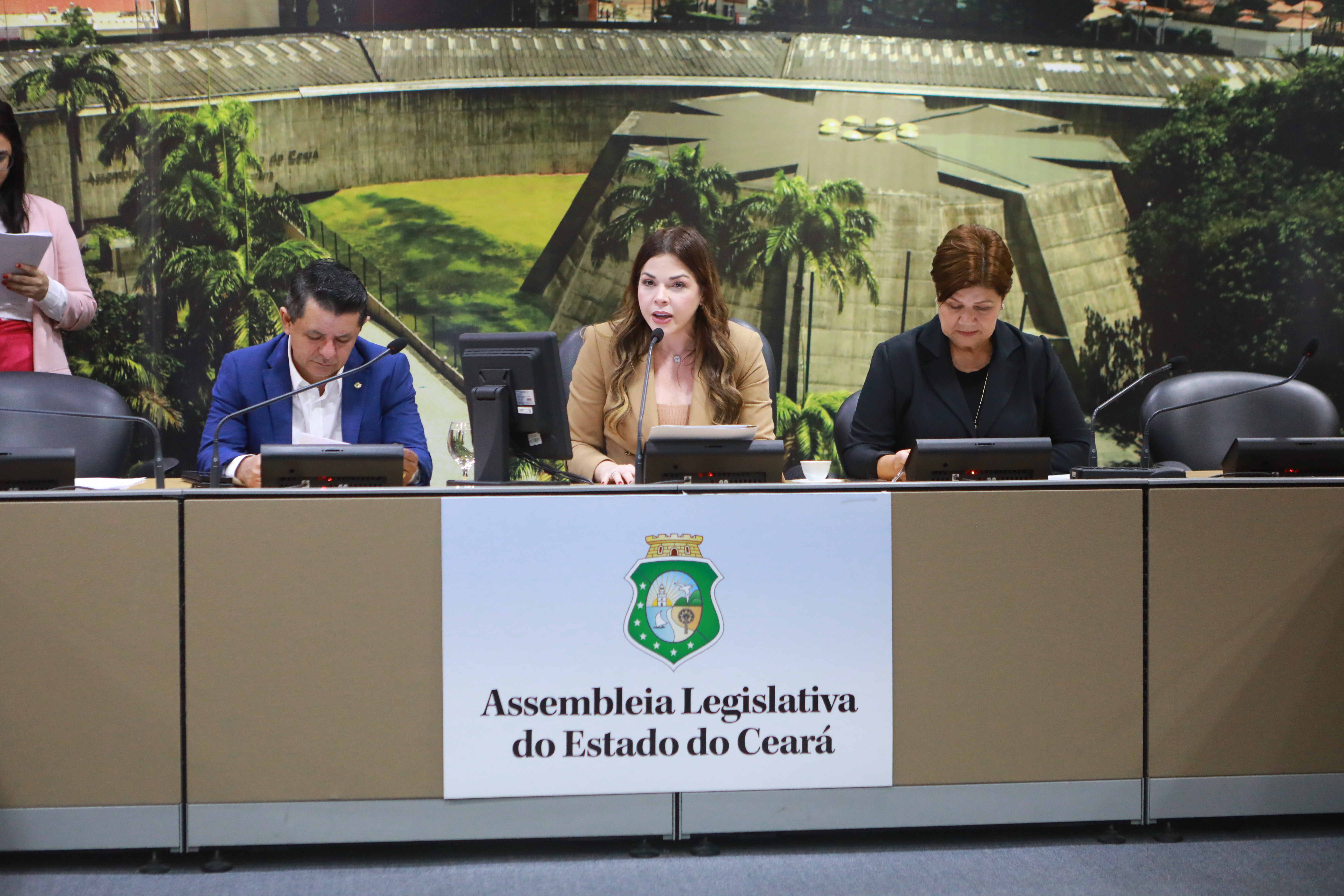 Comissão de Defesa e Direitos das Mulheres