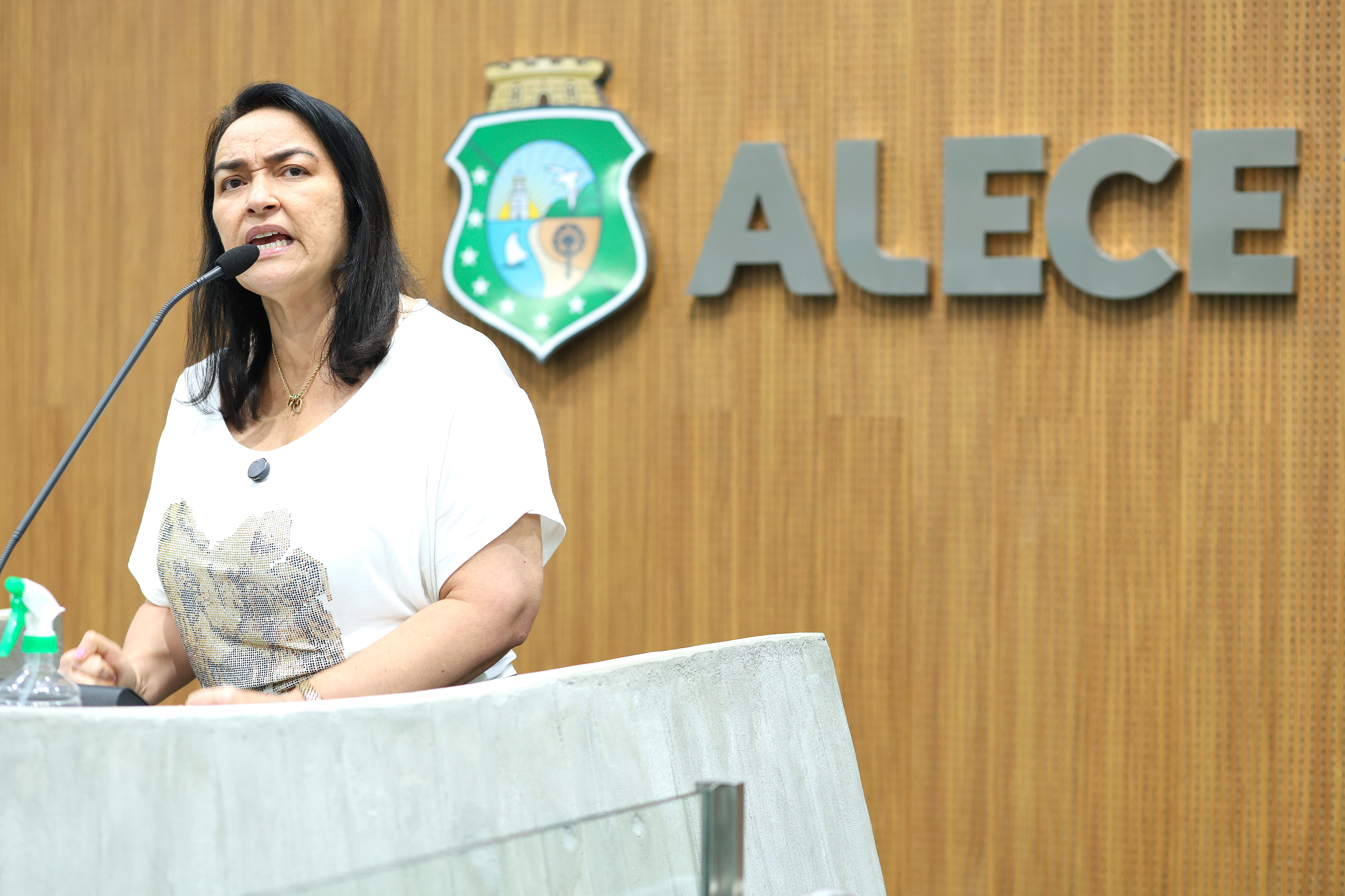 Deputada Dra. Silvana (PL)