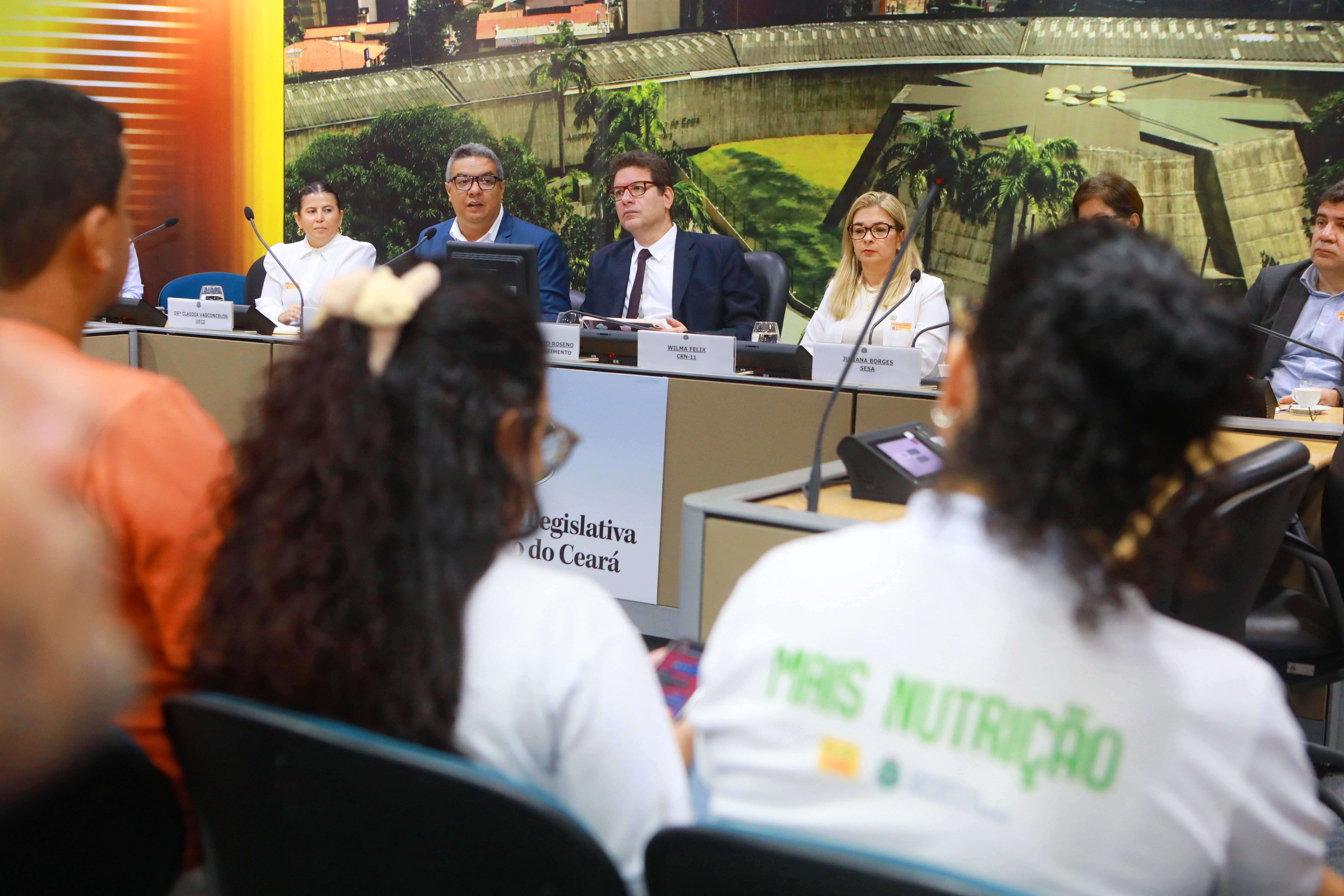 Audiência pública foi realizada no Complexo de Comissões Técnicas da Alece