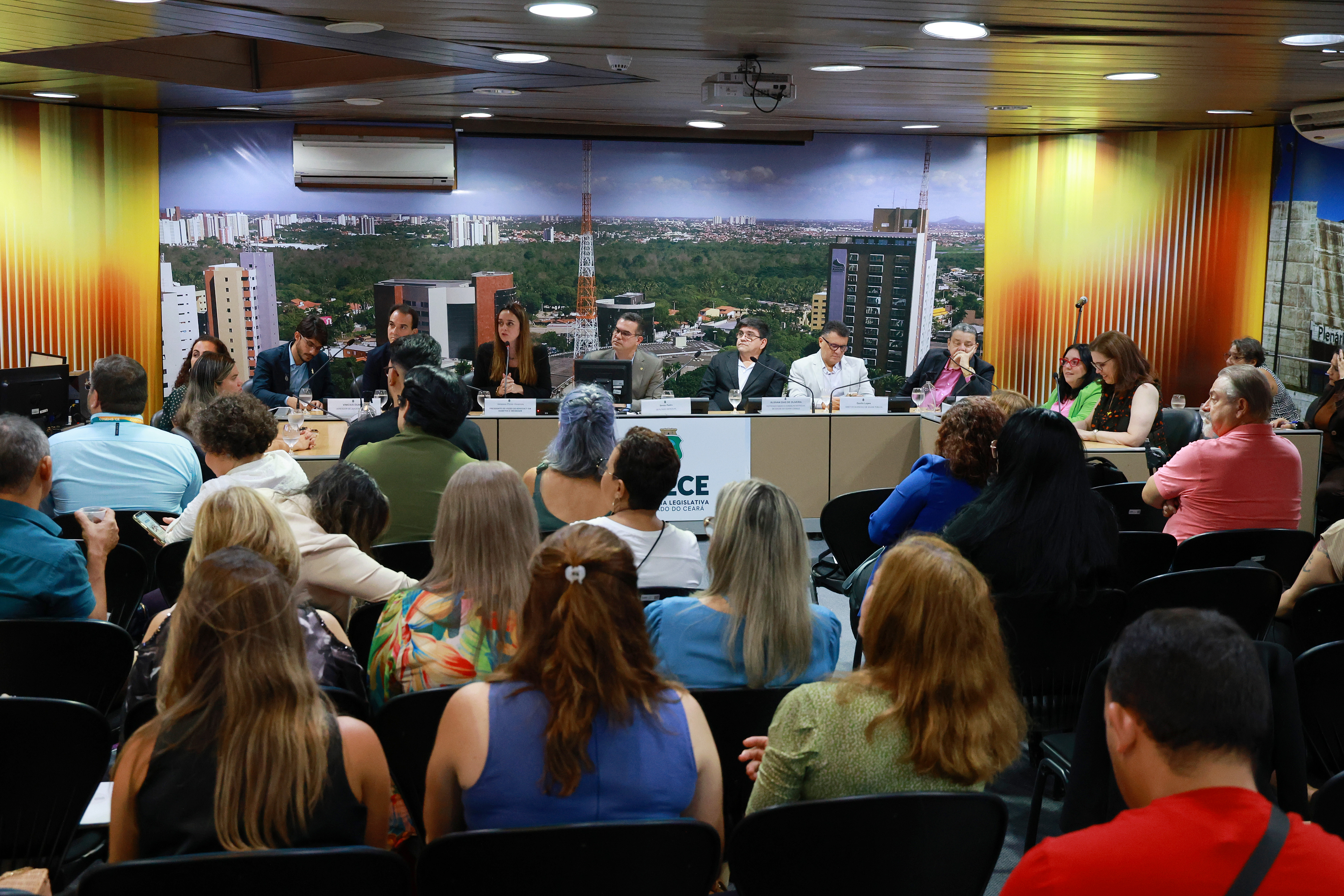 Comissão da Alece cobra ampliação e melhorias no atendimento de pessoas com obesidade no CE