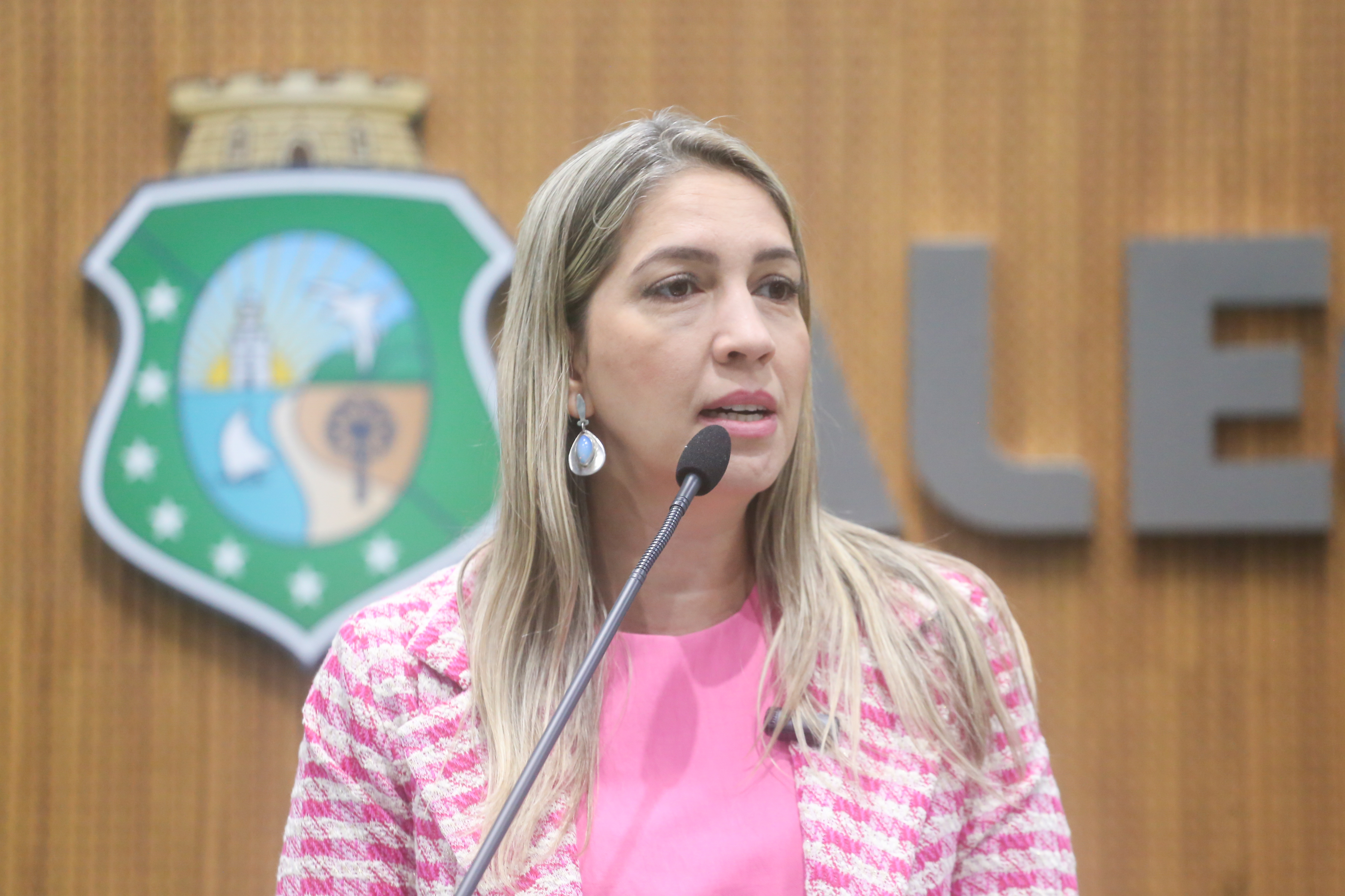 Deputada Larissa Gaspar (PT)