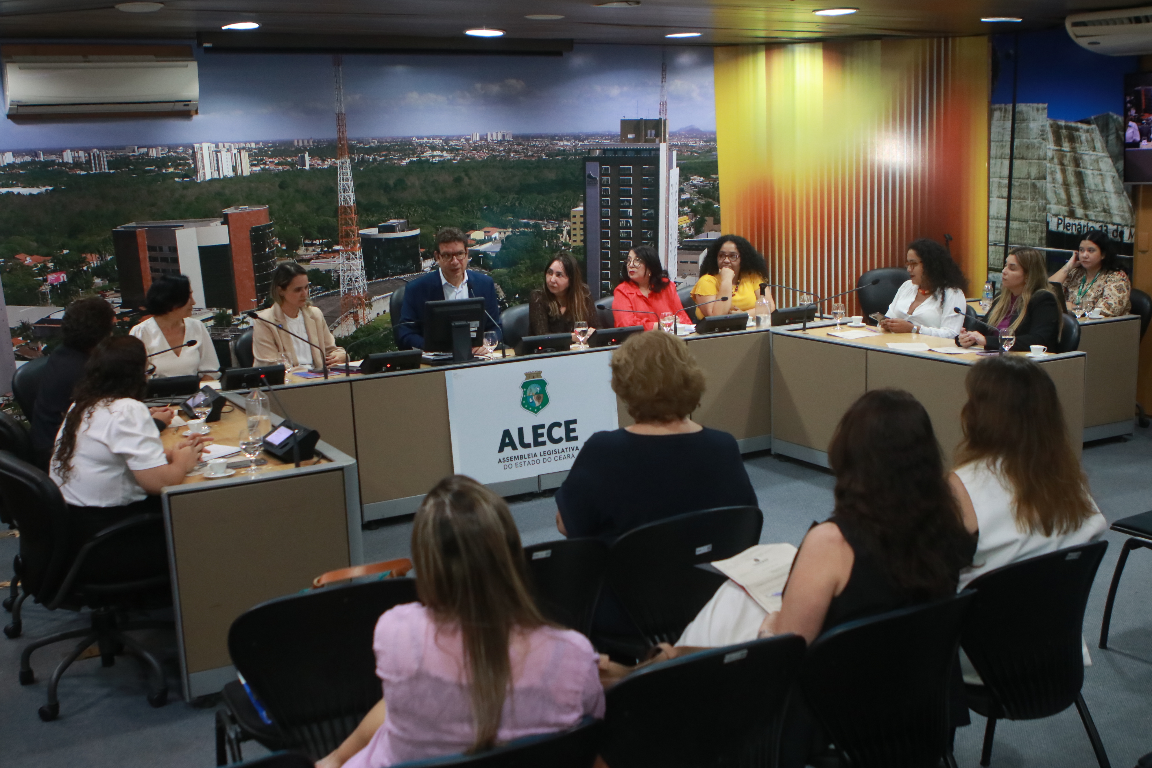 Comissão de Direitos Humanos e Cidadania discute cotas para mulheres no serviço público