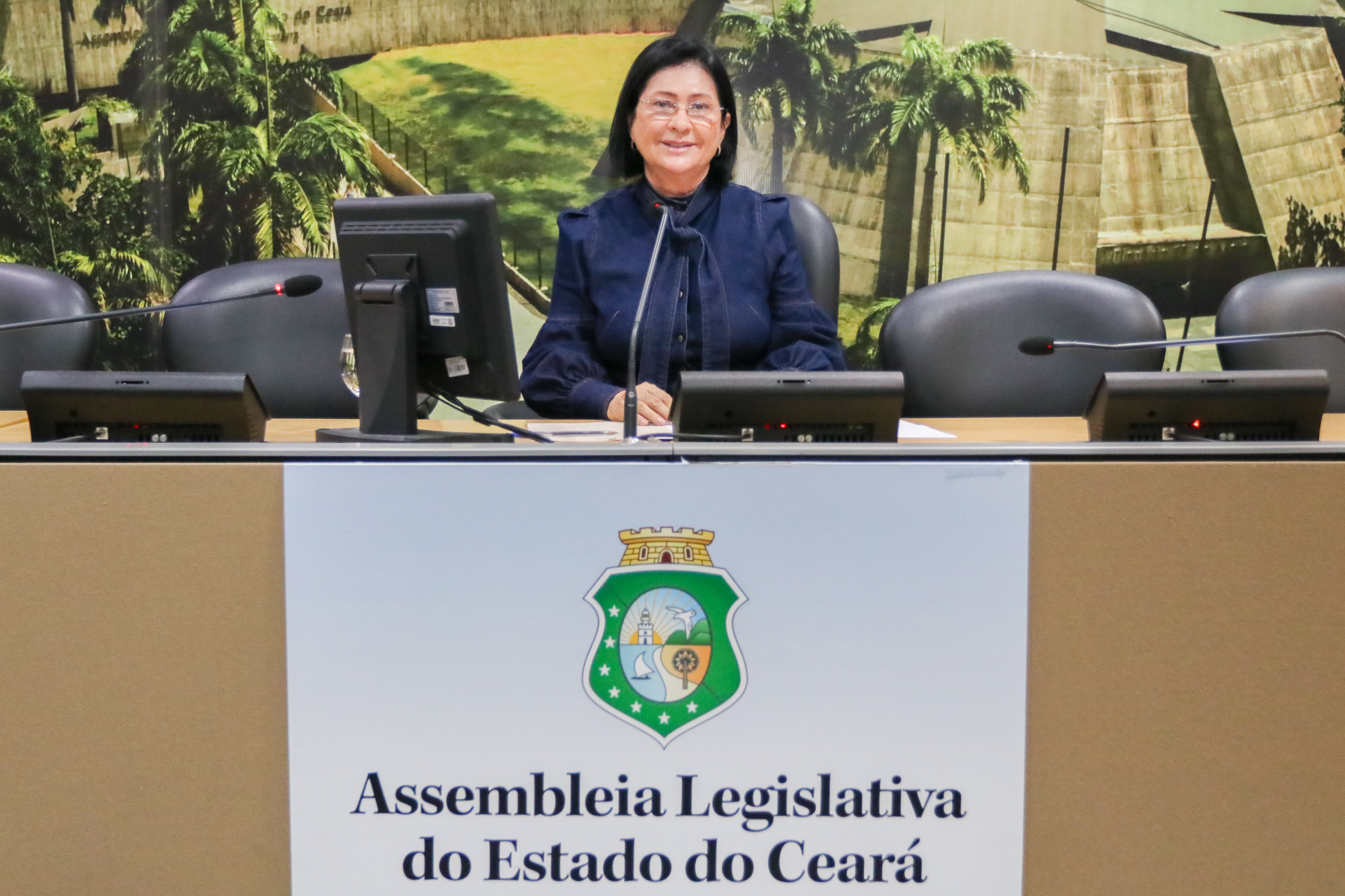 Deputada Marta Gonçalves preside reunião da Comissão de Turismo e Serviços