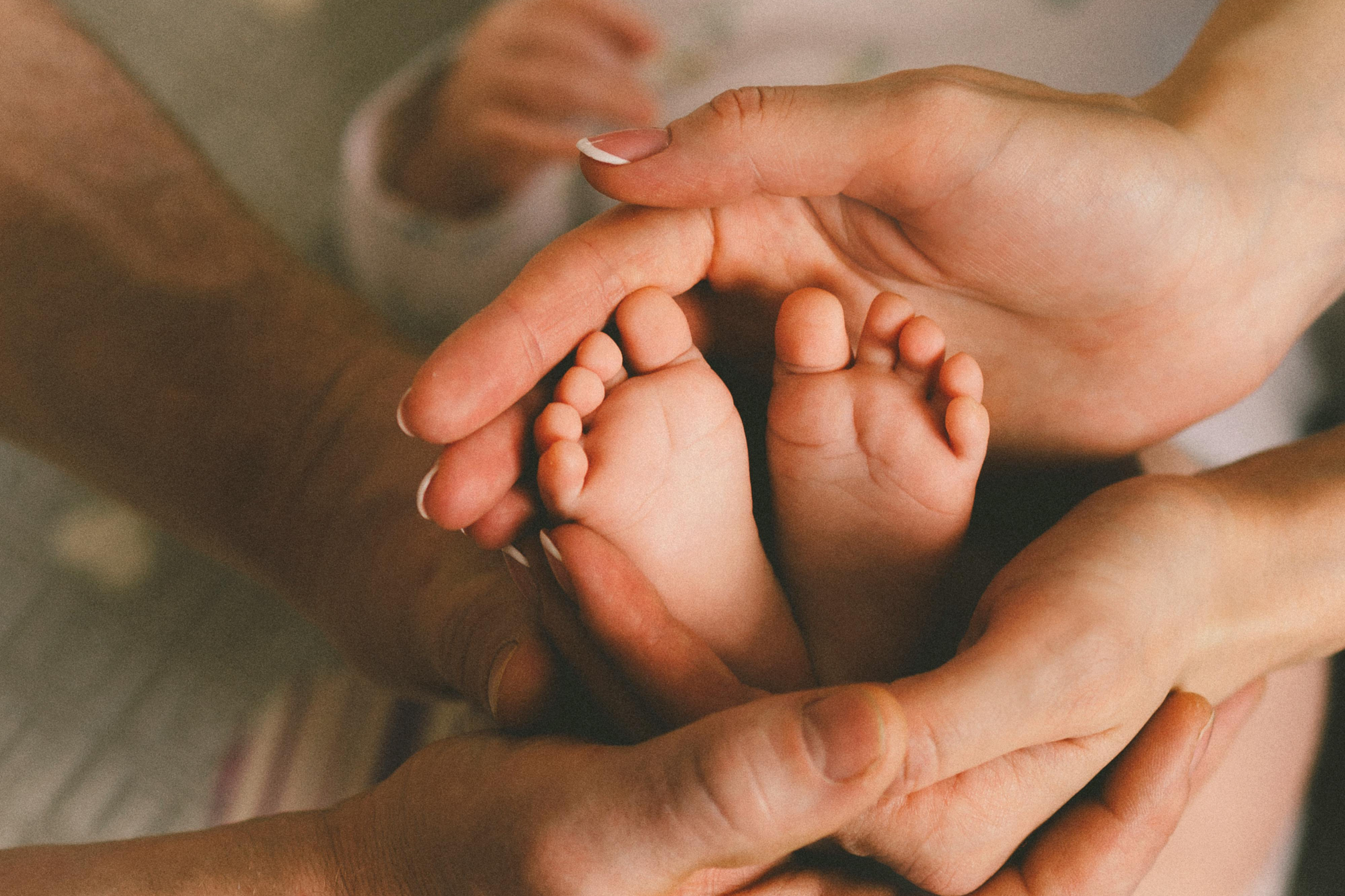 Pais atípicos do Ceará recebem homenagem na Alece nesta segunda-feira