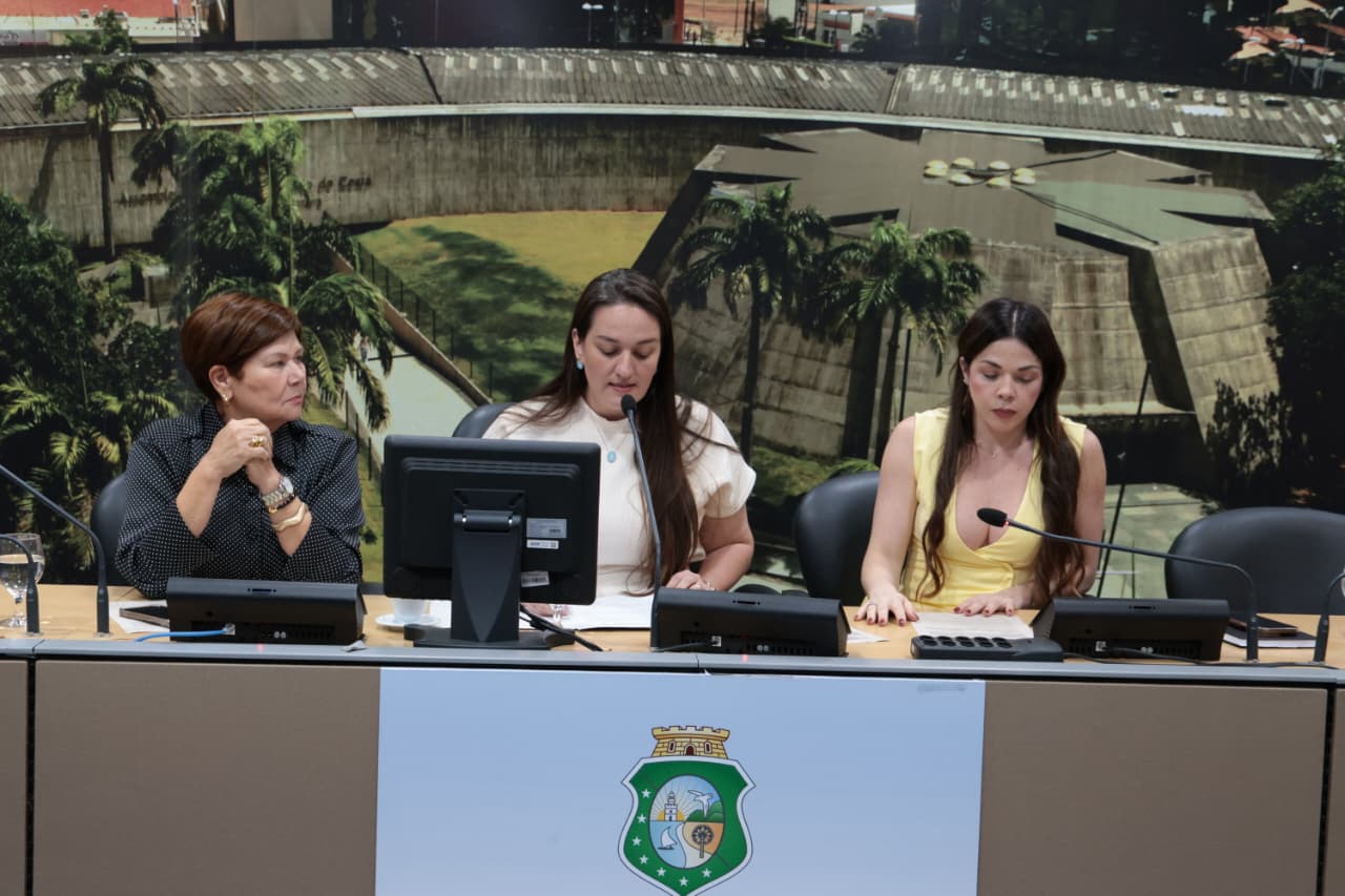 Reunião da Comissão de Infância e Adolescência