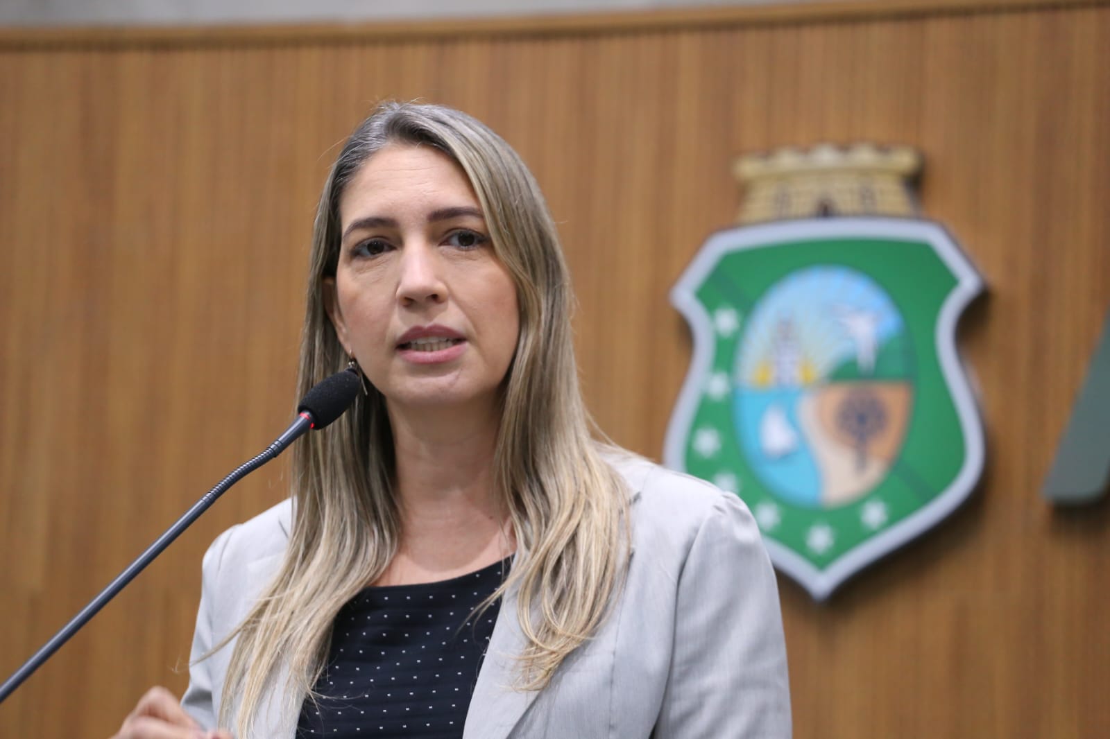 Deputada Larissa Gaspar (PT)