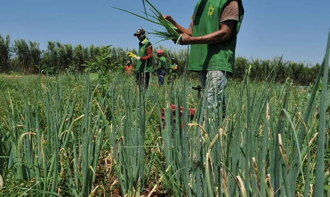 O evento debate o fortalecimento da economia rural e os desafios do cooperativismo no Ceará