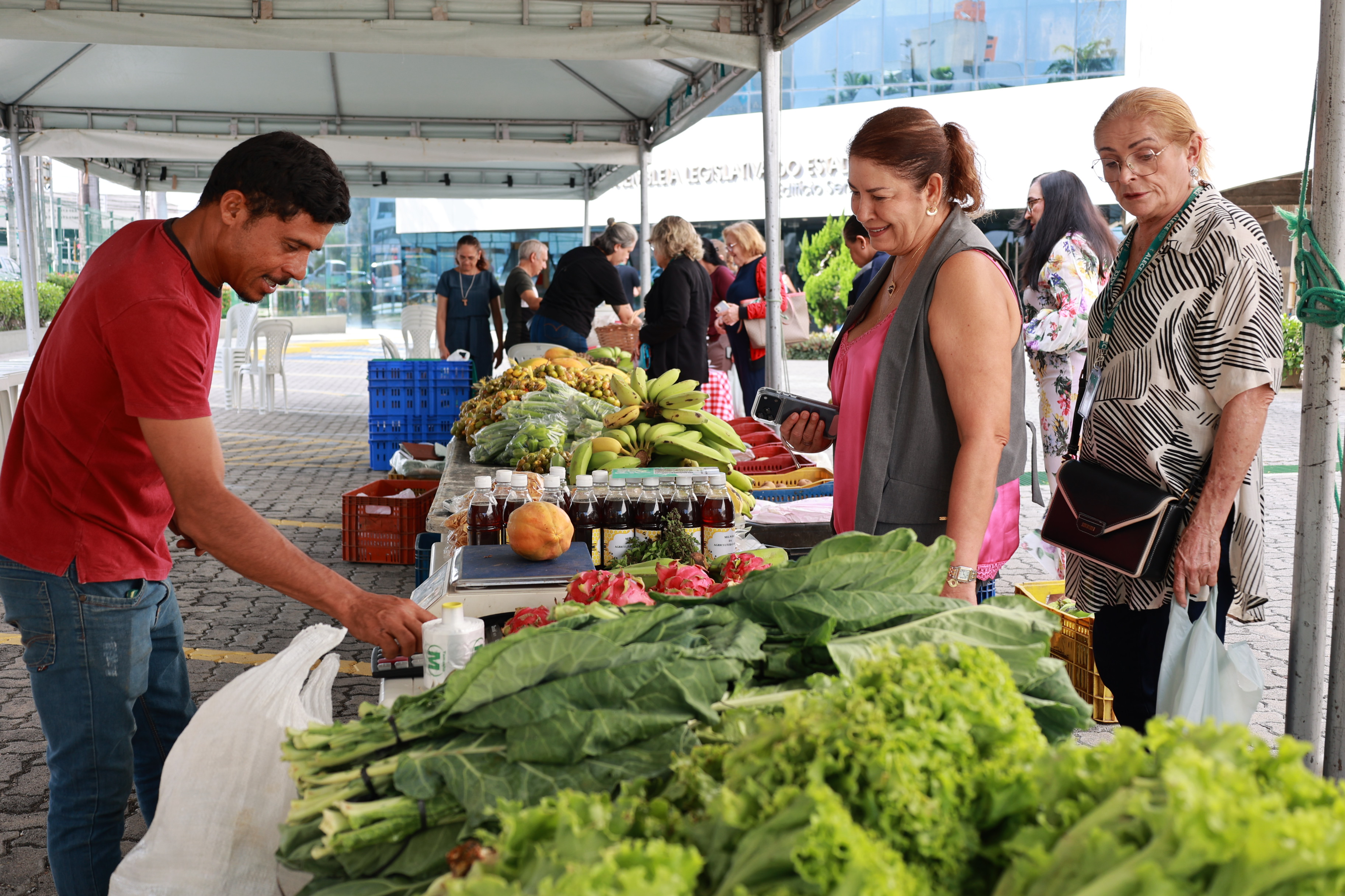 Com mais expositores, Feira de Orgânicos da Alece volta a ser sucesso entre servidores e visitantes