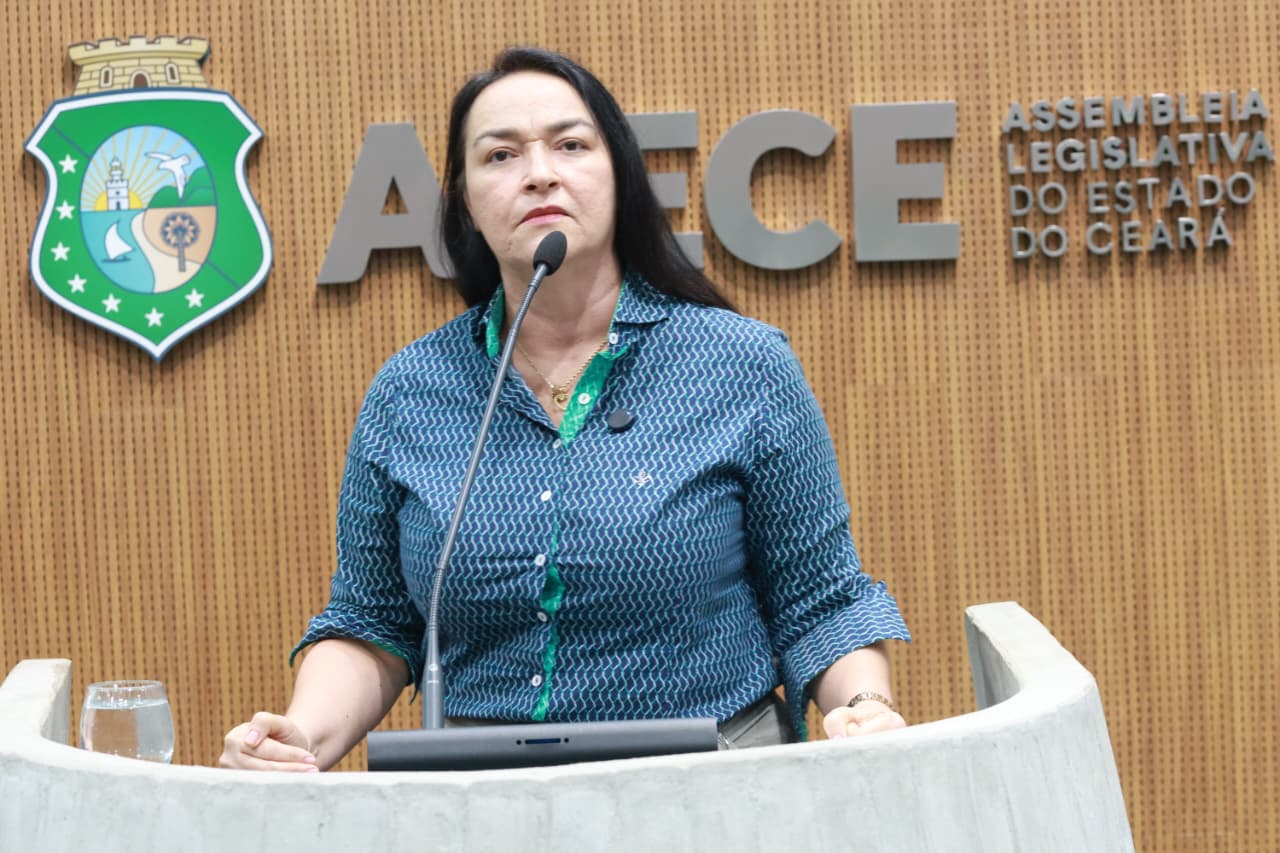 Deputada Dra. Silvana (PL)