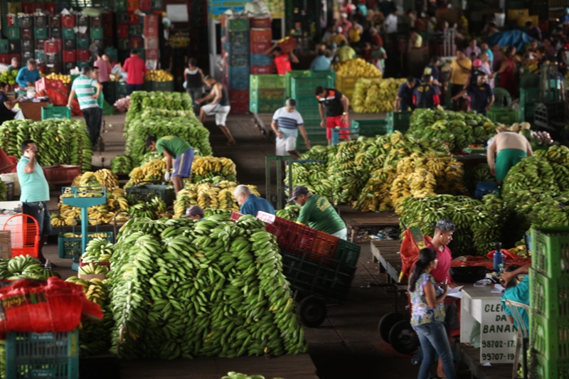 Sessão solene na Alece marca celebração dos 53 anos da Ceasa-CE