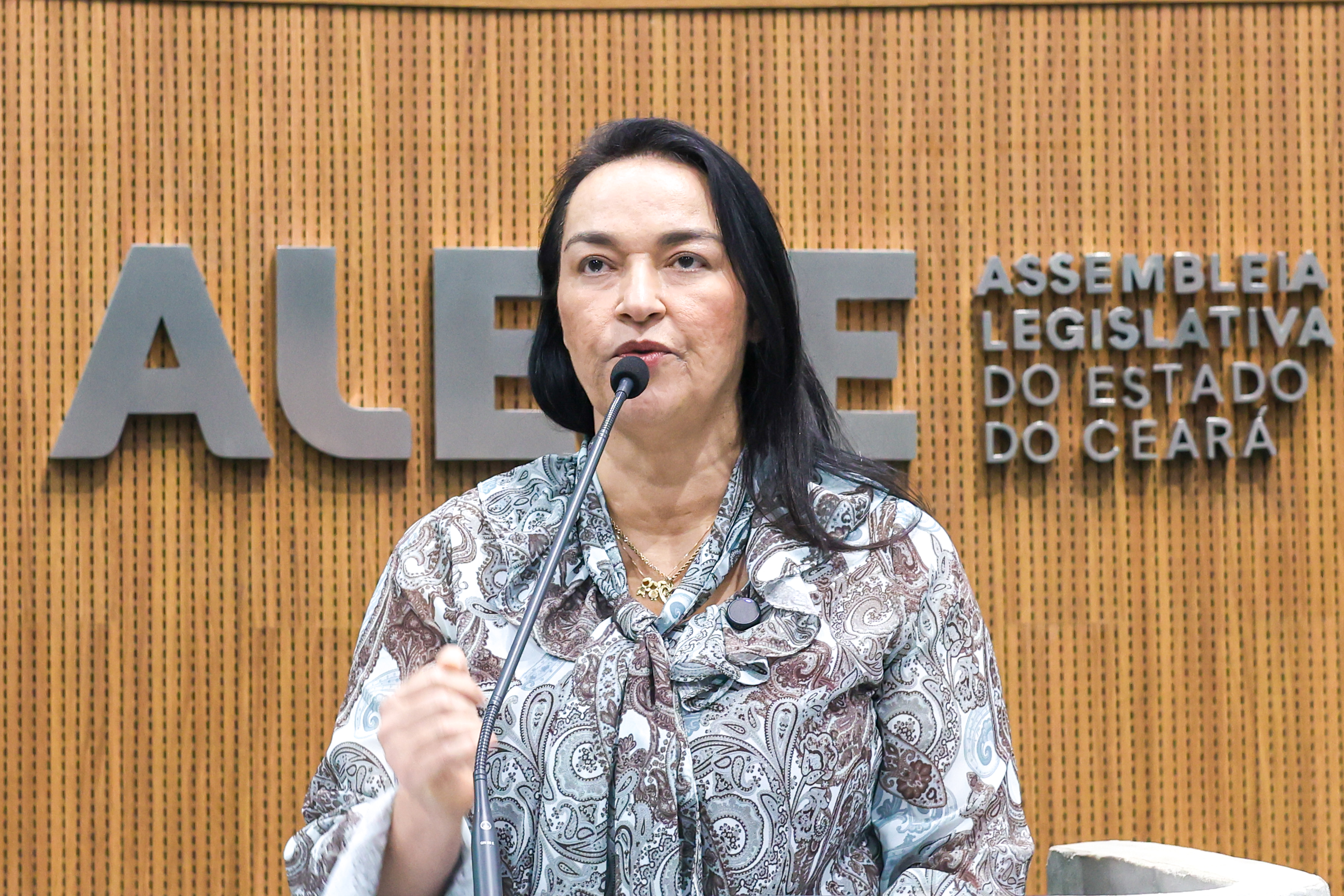 Deputada Dra. Silvana (PL)