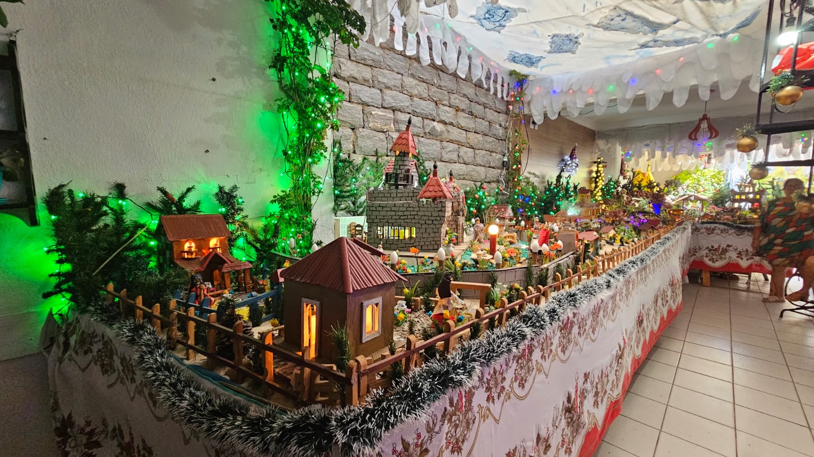 Foto: Divulgação Alece FM