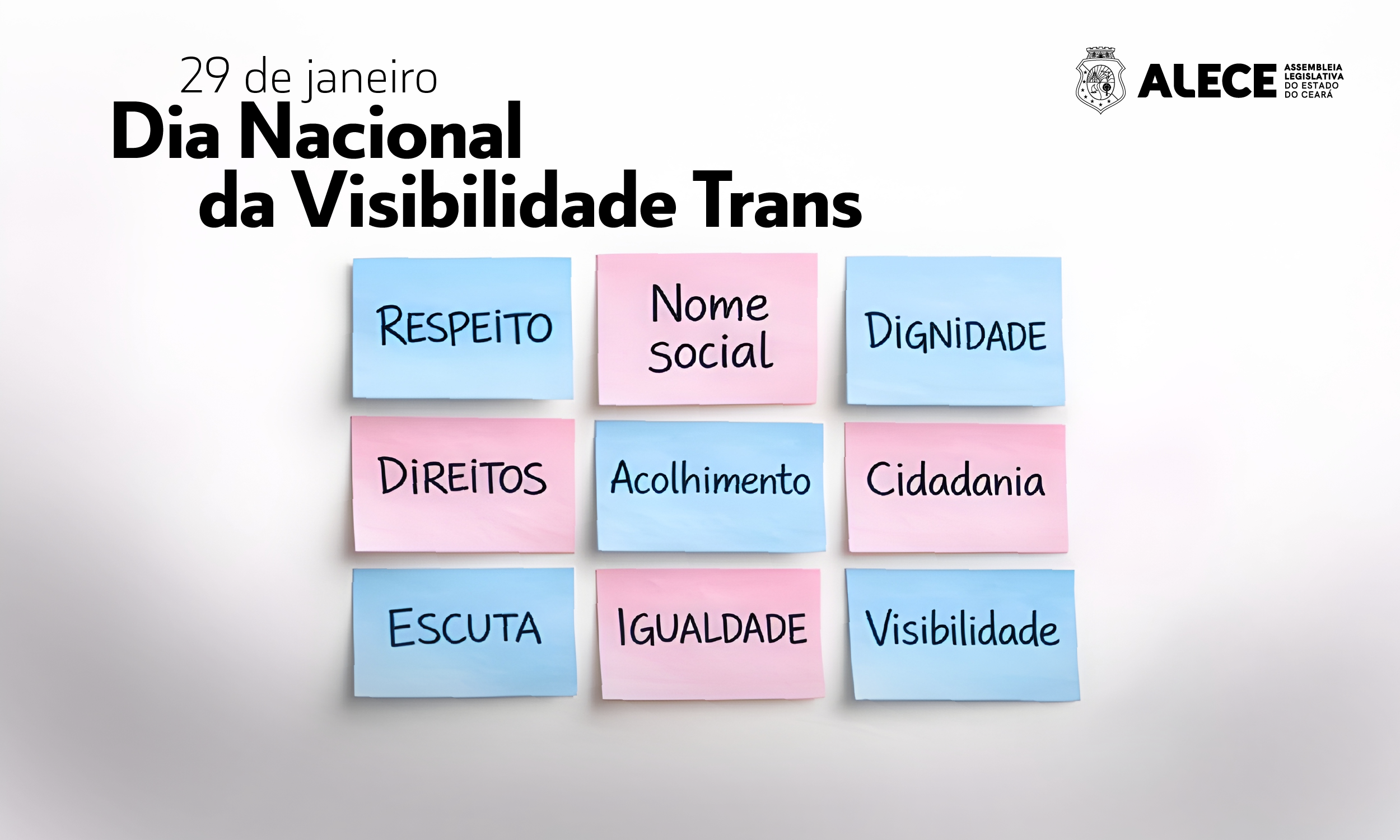 Dia da Visibilidade Trans reitera importância de políticas que garantam direitos e evitem violência