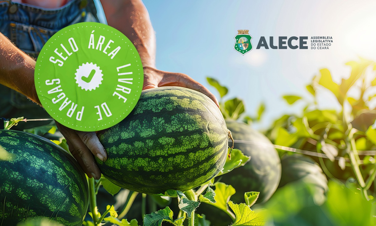 Deputados celebram o reconhecimento de áreas livres de pragas no Ceará