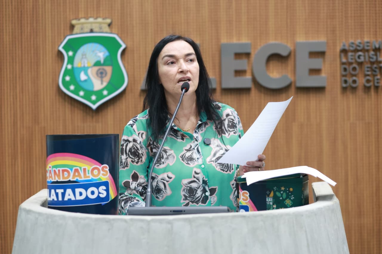 Deputada Dra. Silvana (PL)