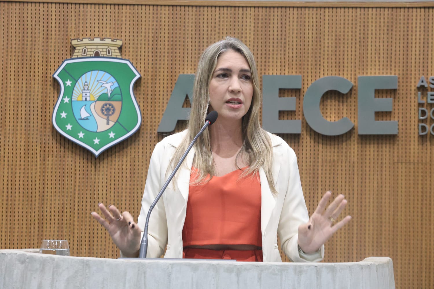 Deputada Larissa Gaspar (PT)