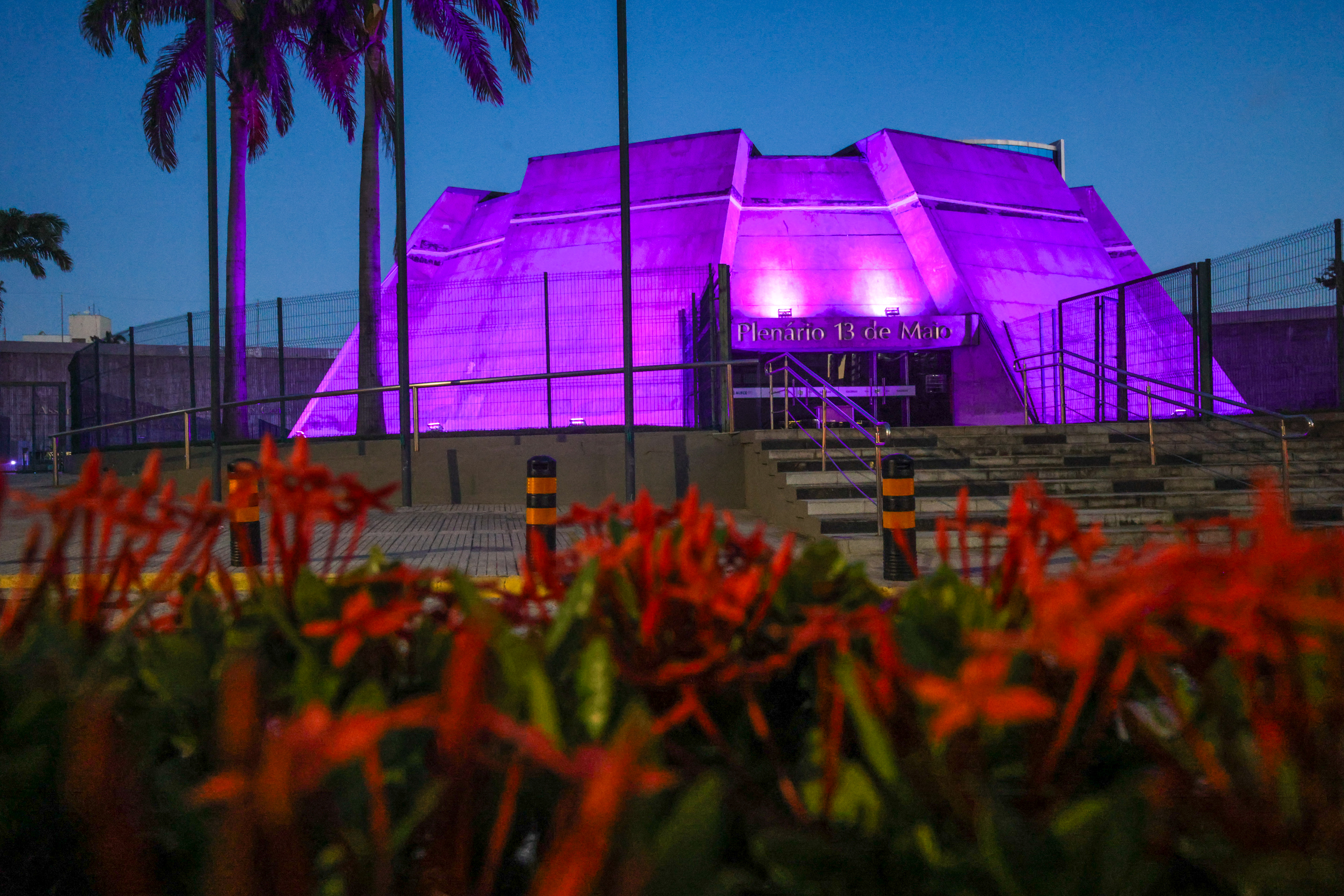 A cor roxa vai iluminar os prédios do Legislativo durante o mês de fevereiro