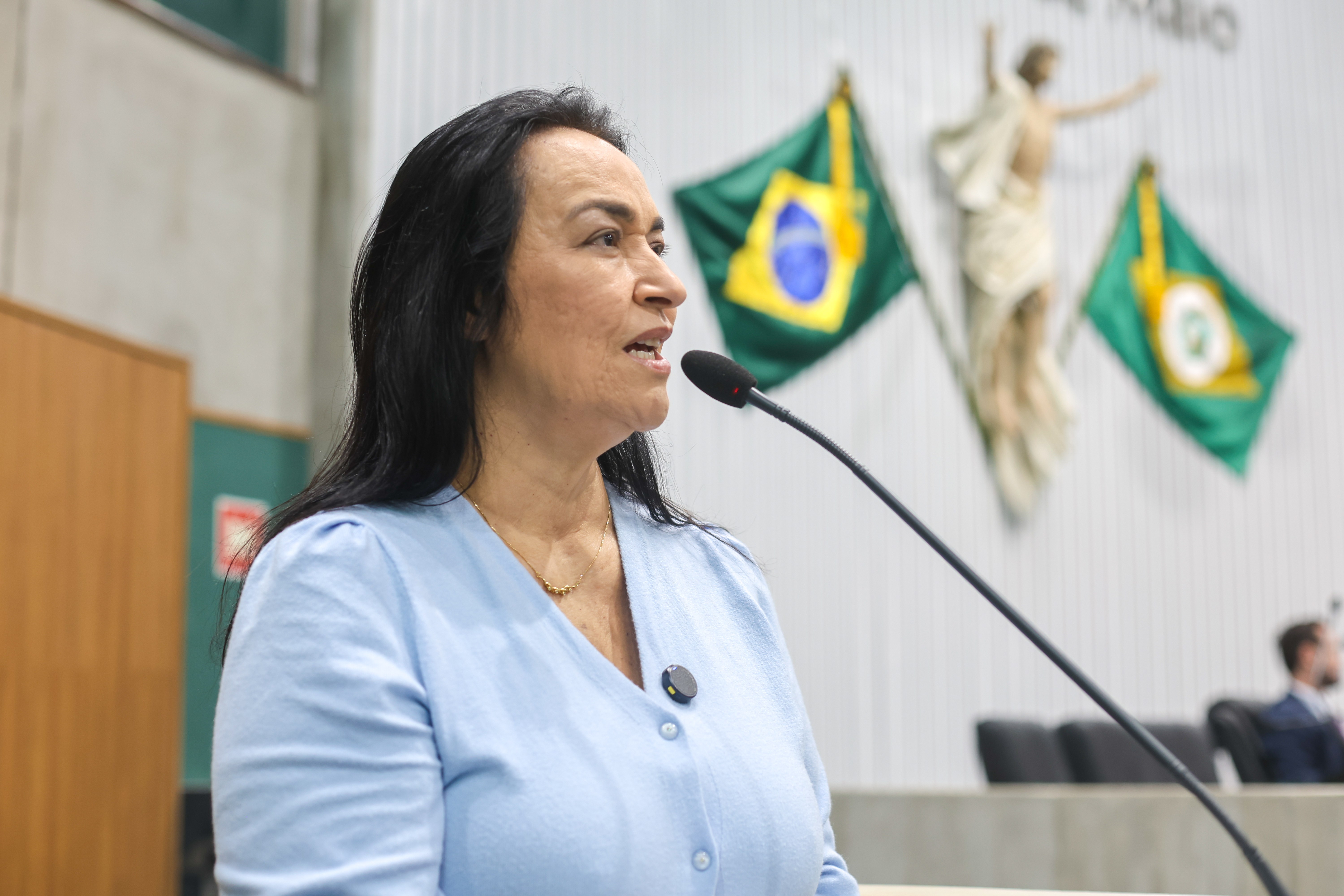 Deputada Dra. Silvana (PL)