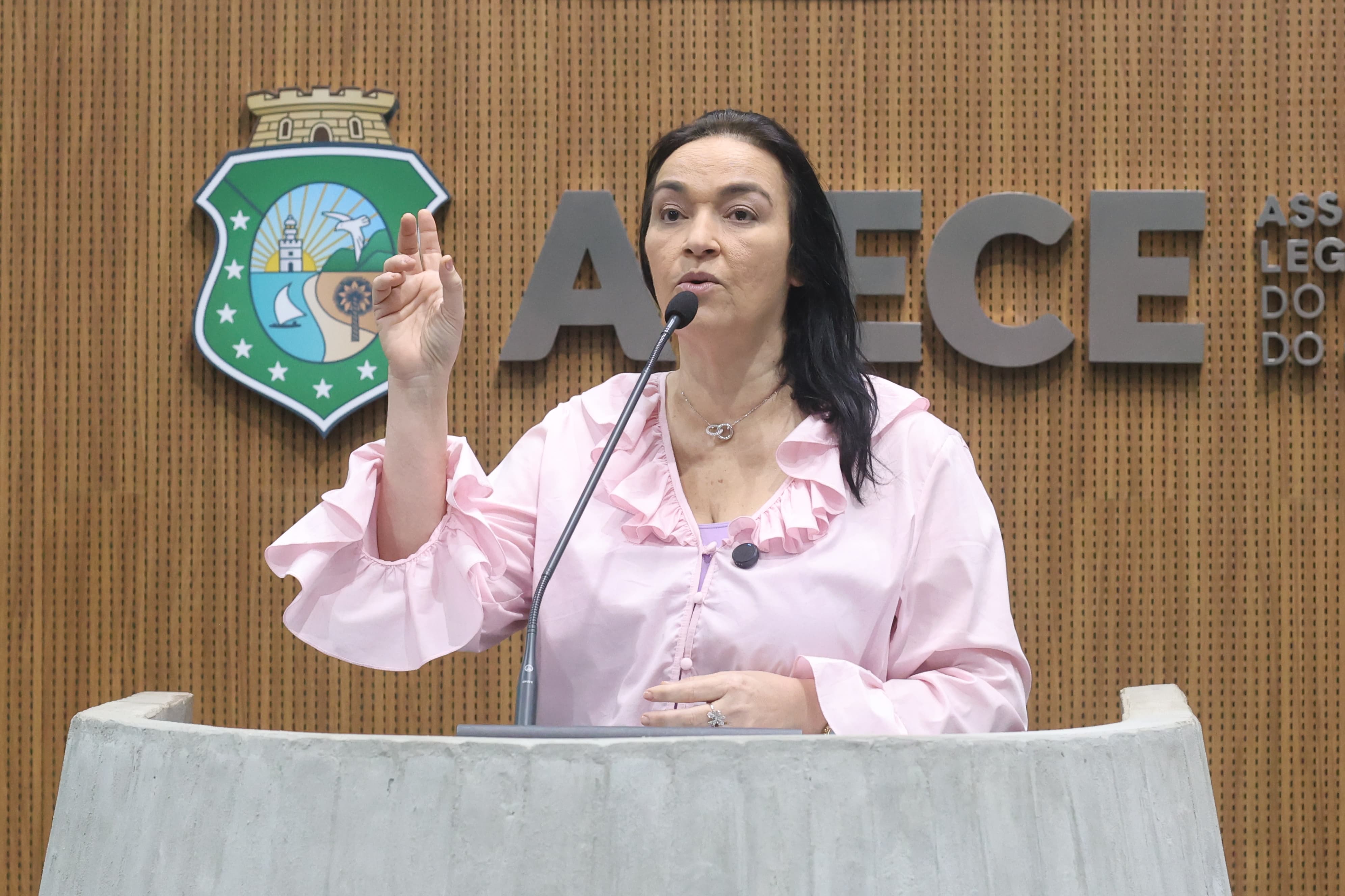 Deputada Dra. Silvana (PL)