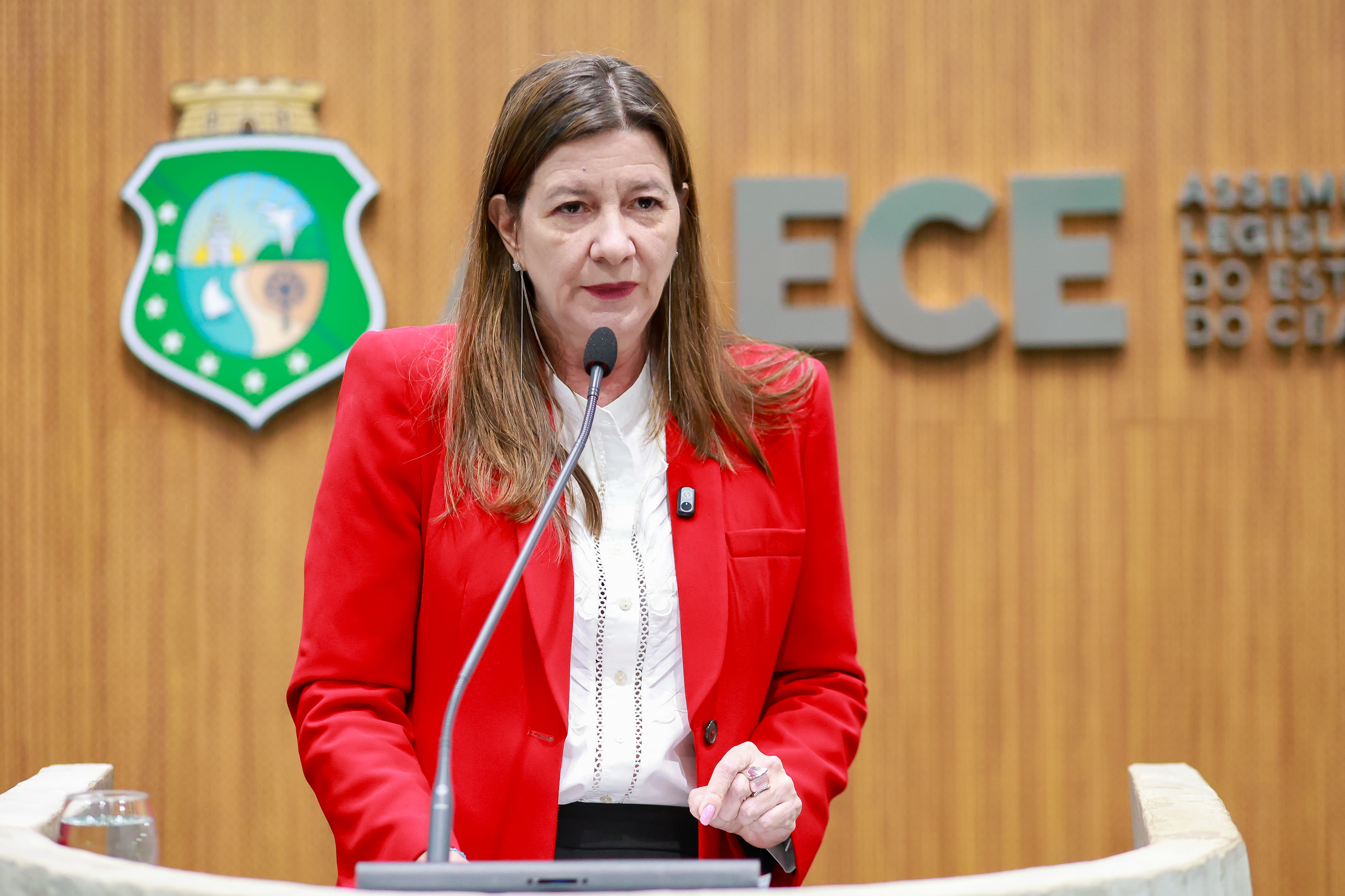 Deputada Lia Gomes (PSB)