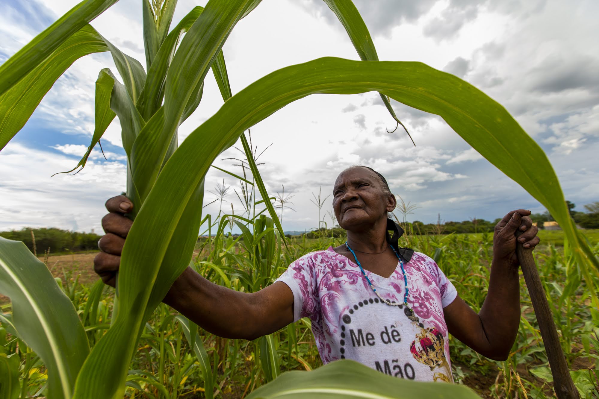 Audiência pública na Alece debate certificação pública de orgânicos para agricultura familiar no Estado