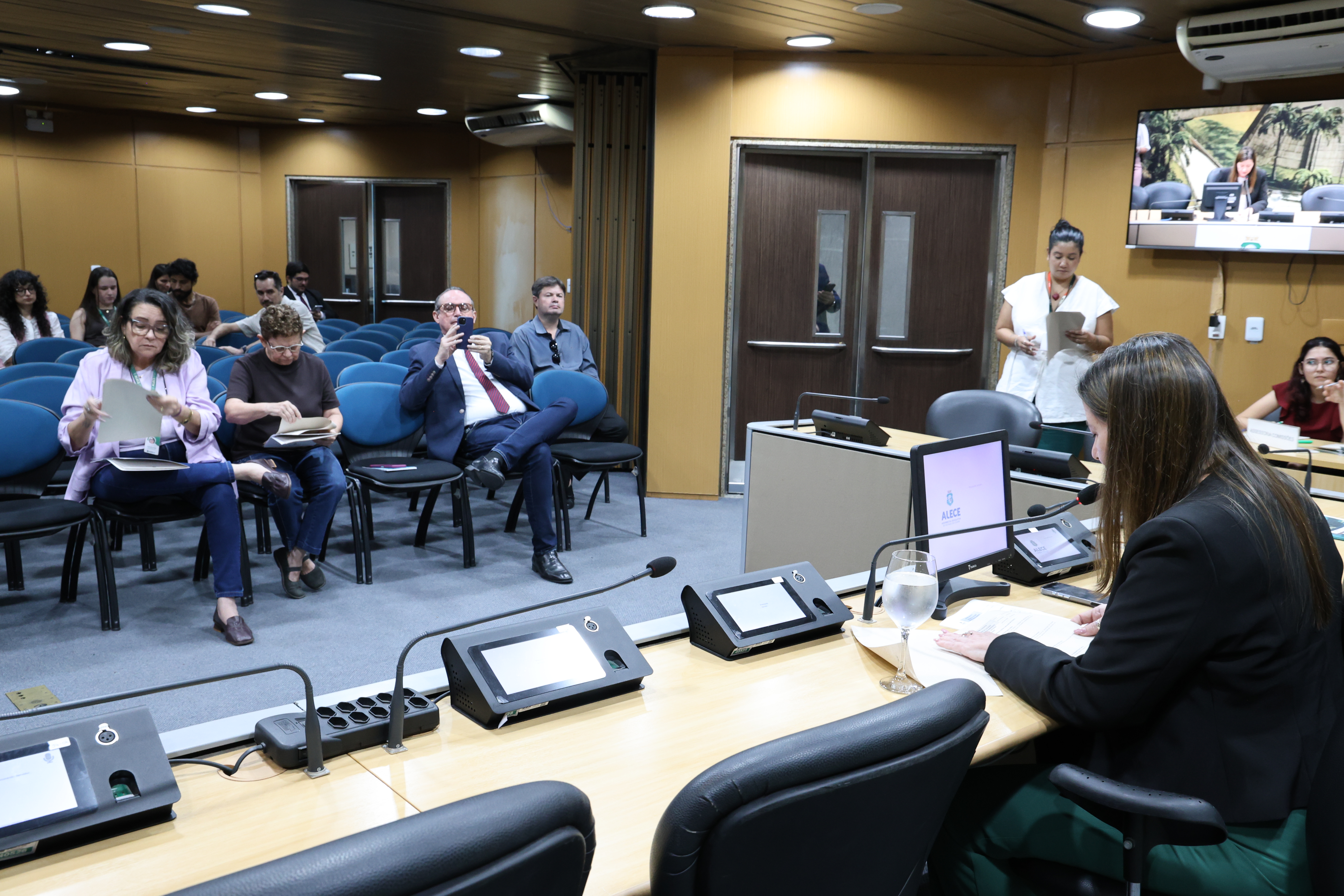 Comissões da Mulher e de Direitos Humanos aprovam nove proposições nesta terça
