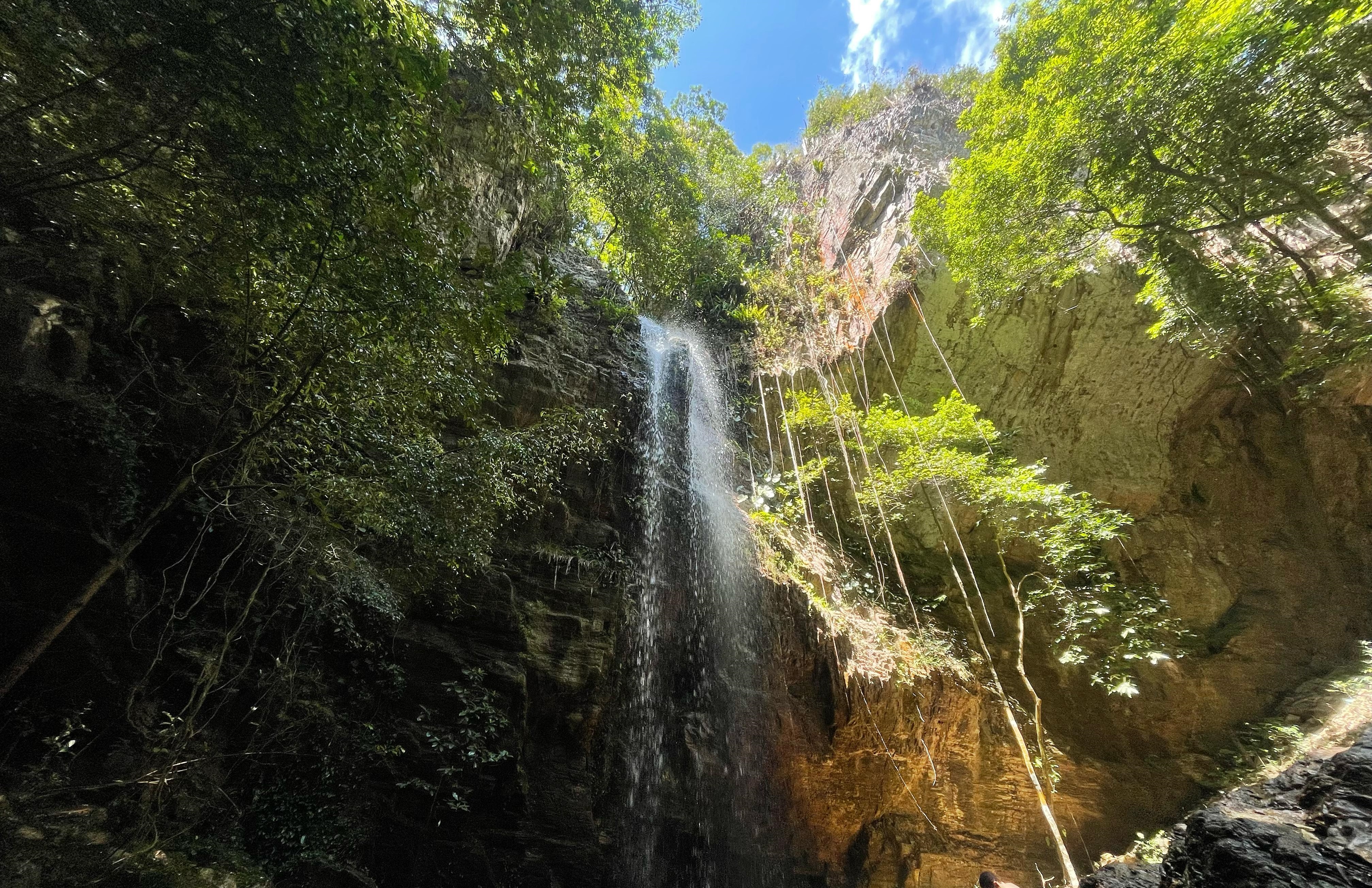 Comissão de Meio Ambiente debate implementação efetiva do Parque Estadual das Carnaúbas