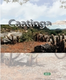 2009 - CAATINGA